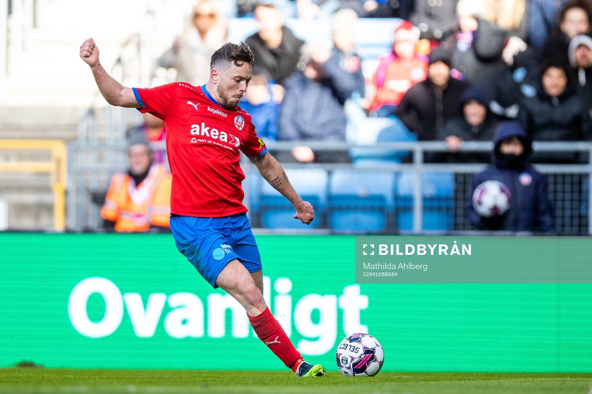 Helsingborgs Viljormur Davidsen