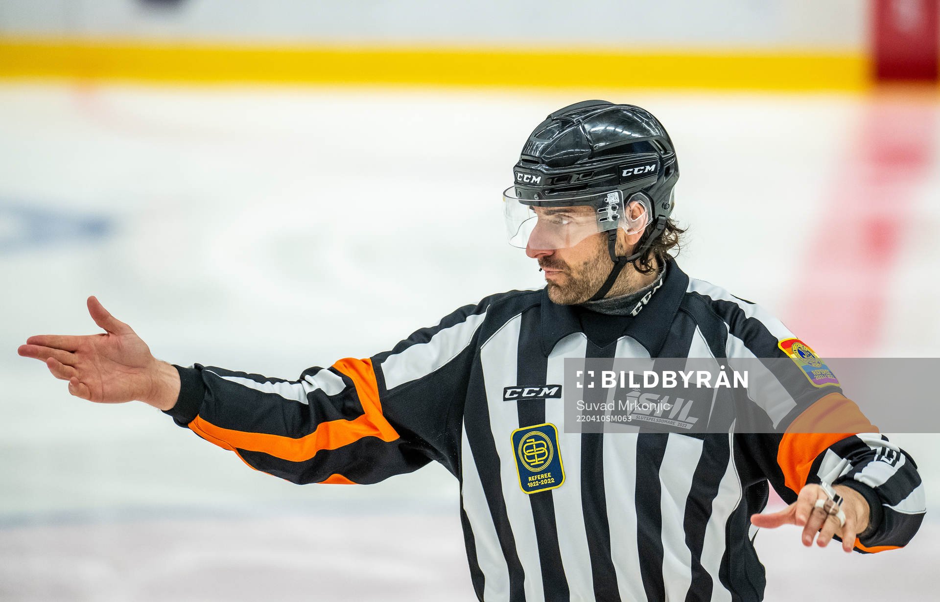 Domare Mikael Sjöqvist