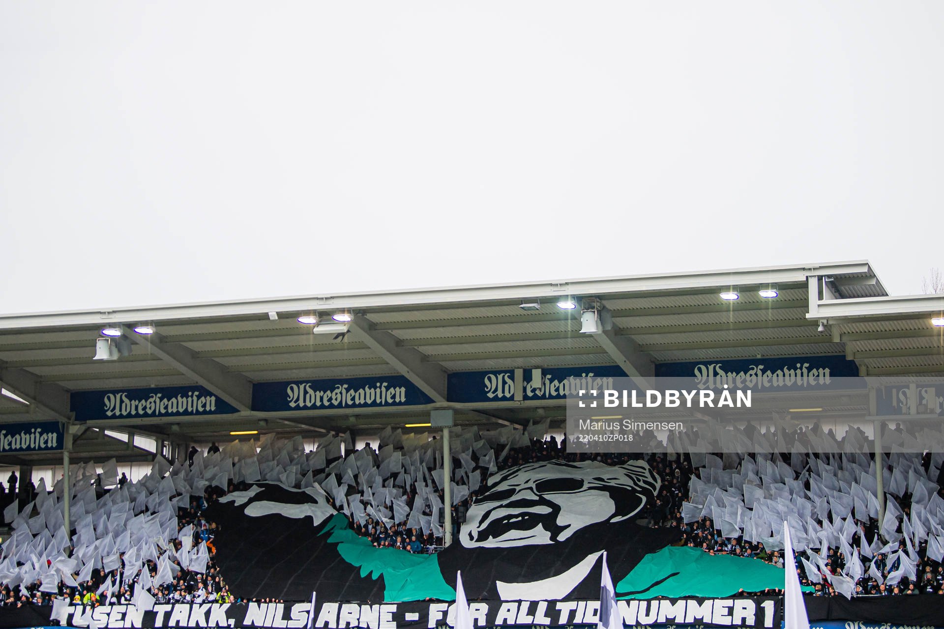 Nils Arne Eggen TIFO