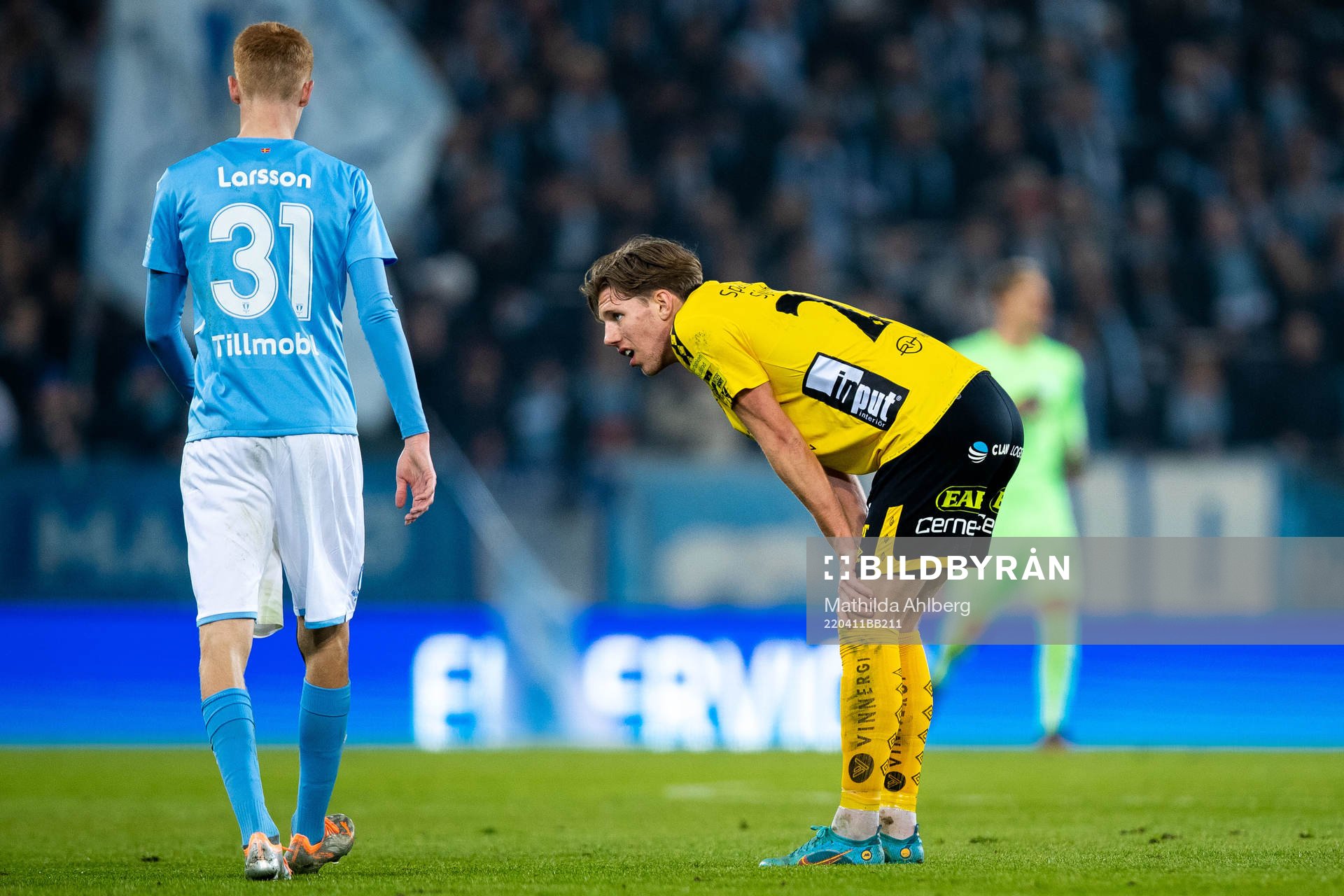 Malmö FFs Hugo Larsson och Elfsborgs Noah Söderberg
