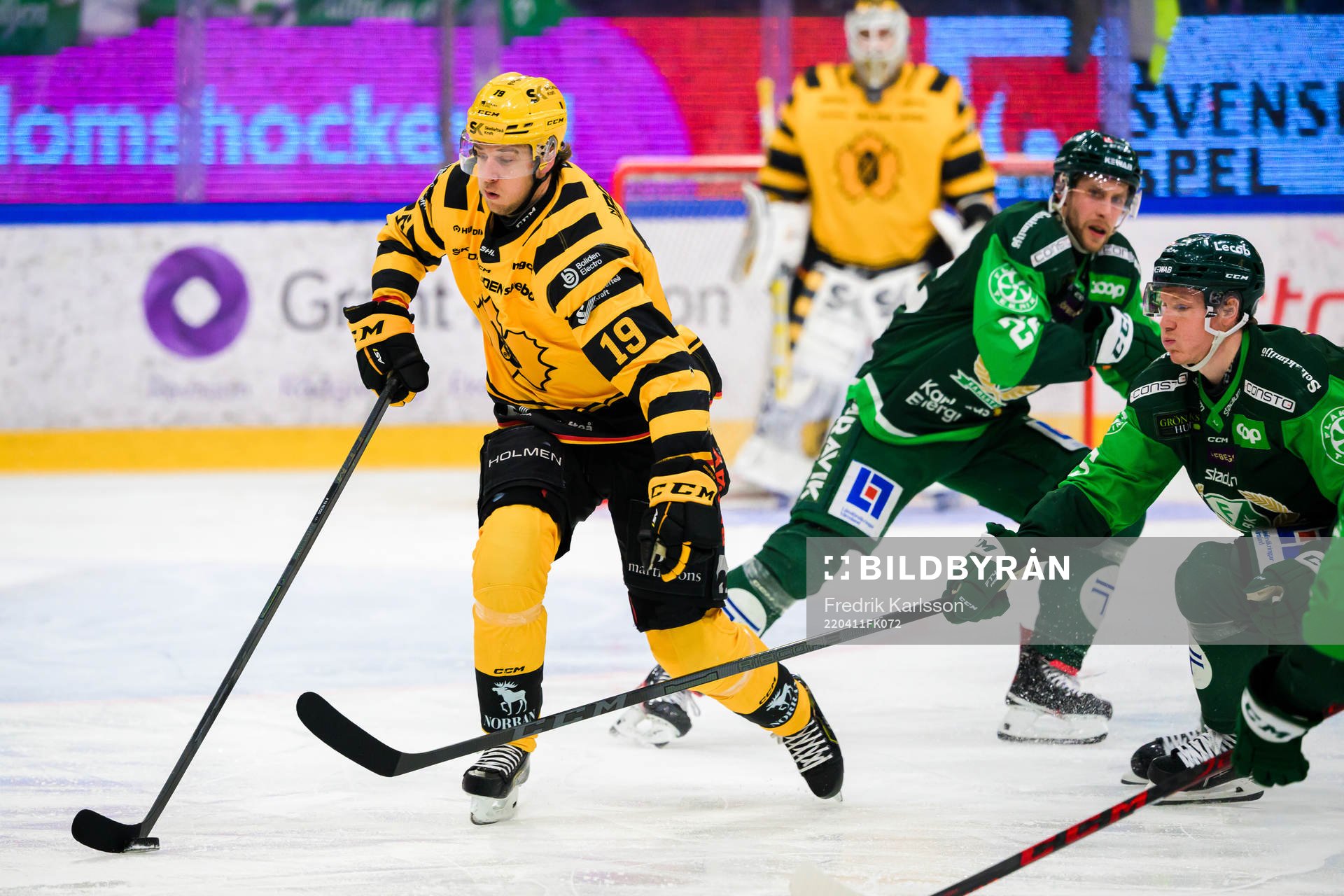 Skellefteås Filip Roos