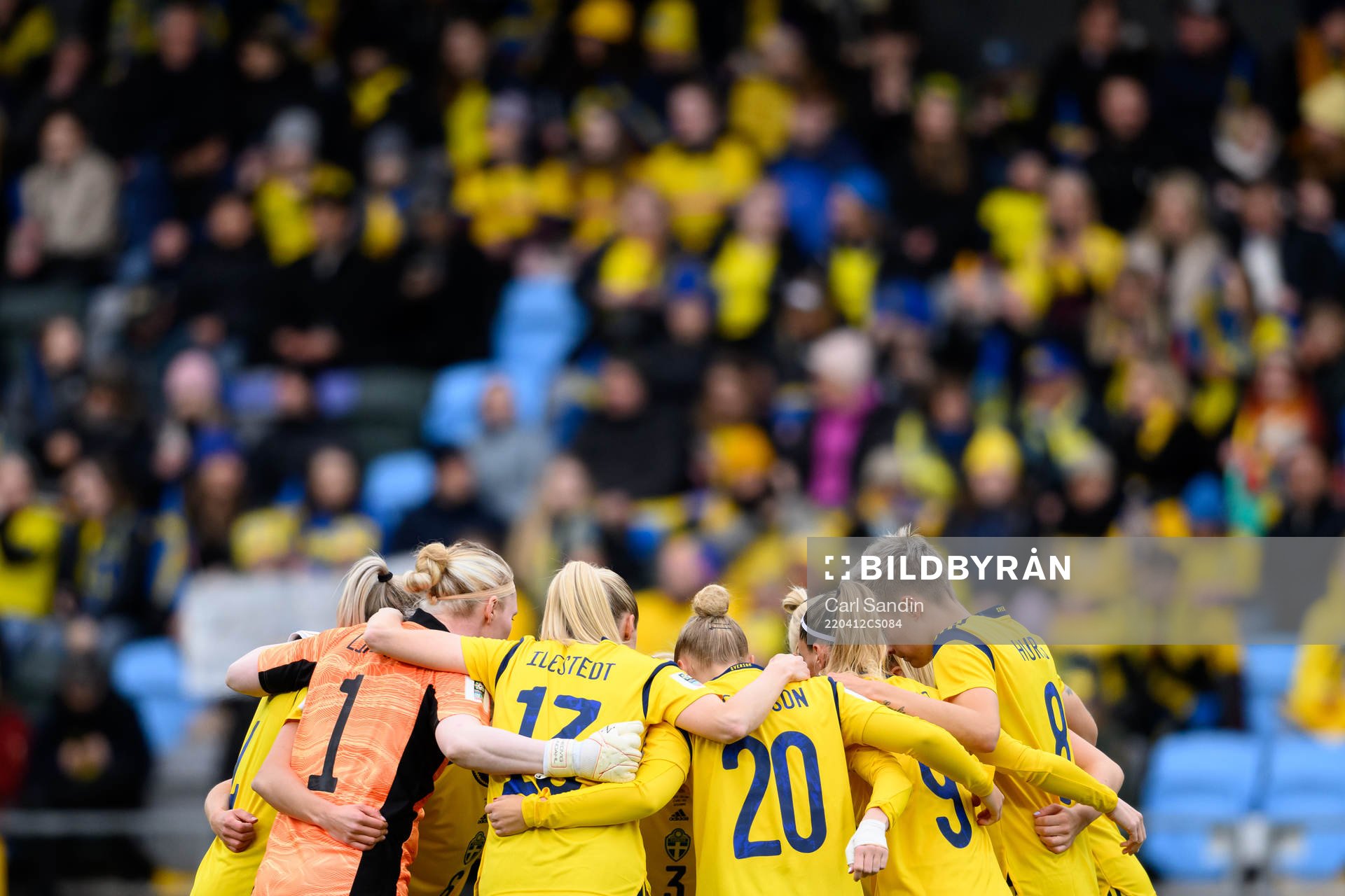 The players of Sweden gather