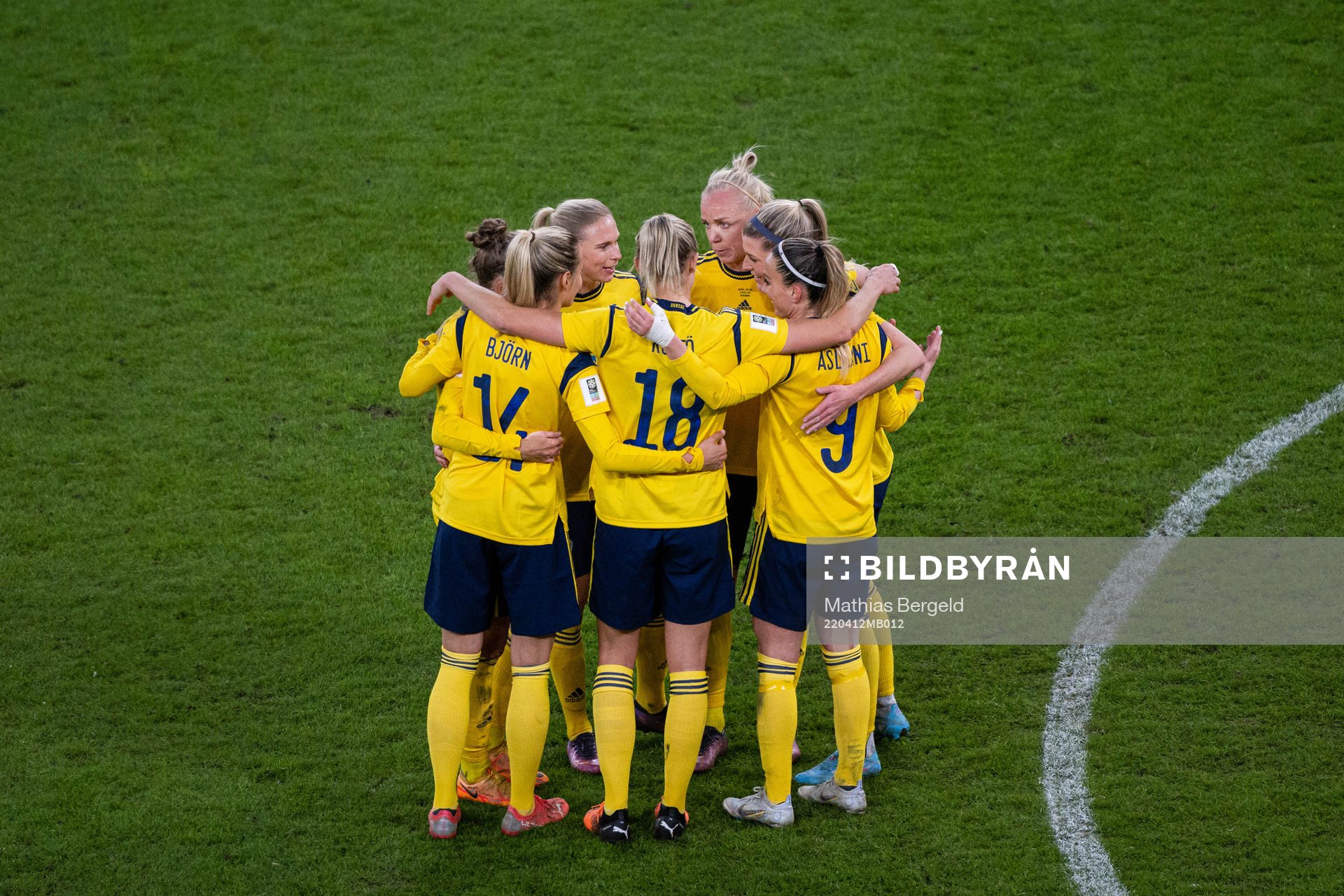 Players of Sweden celebrate