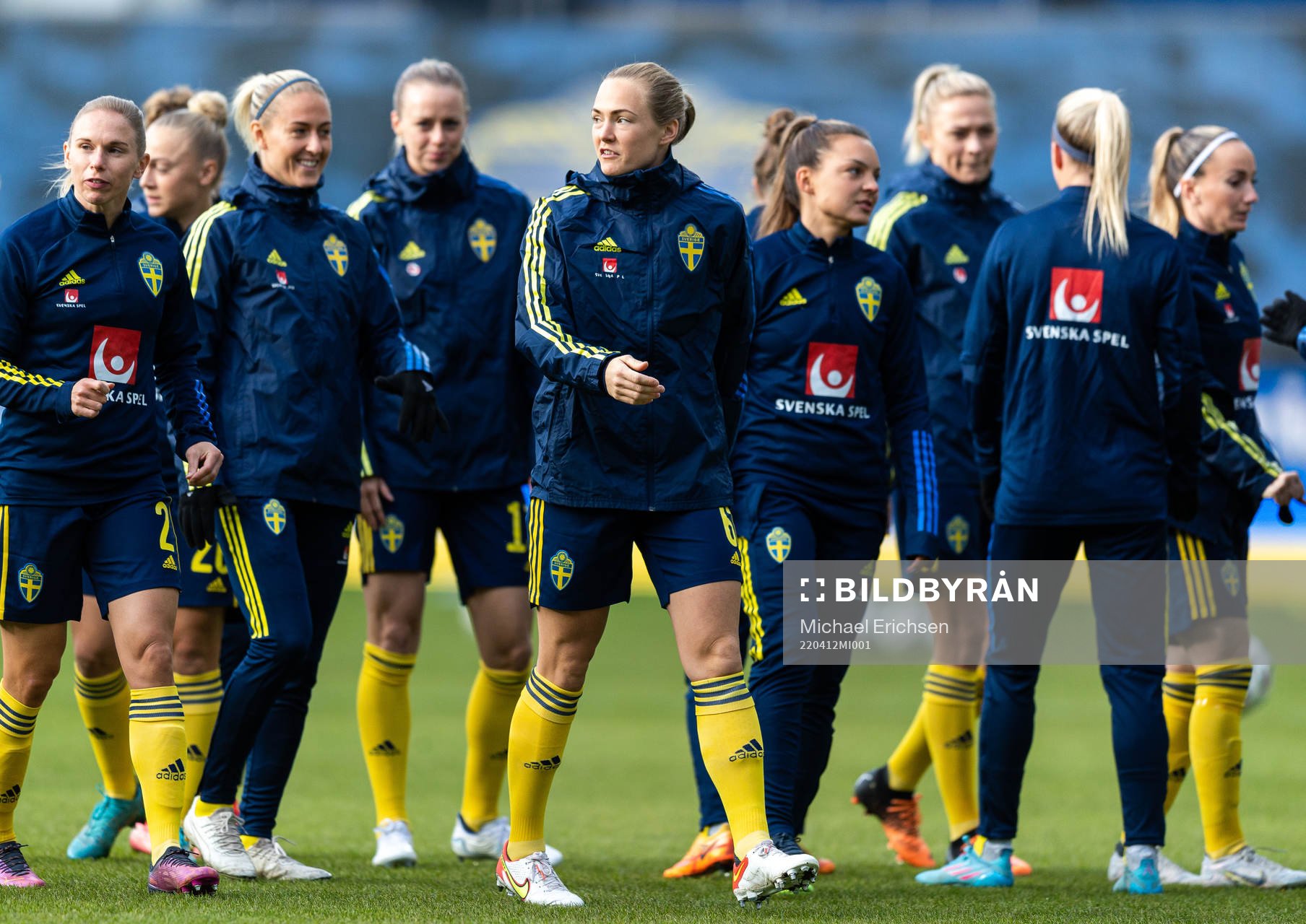 Players of Sweden