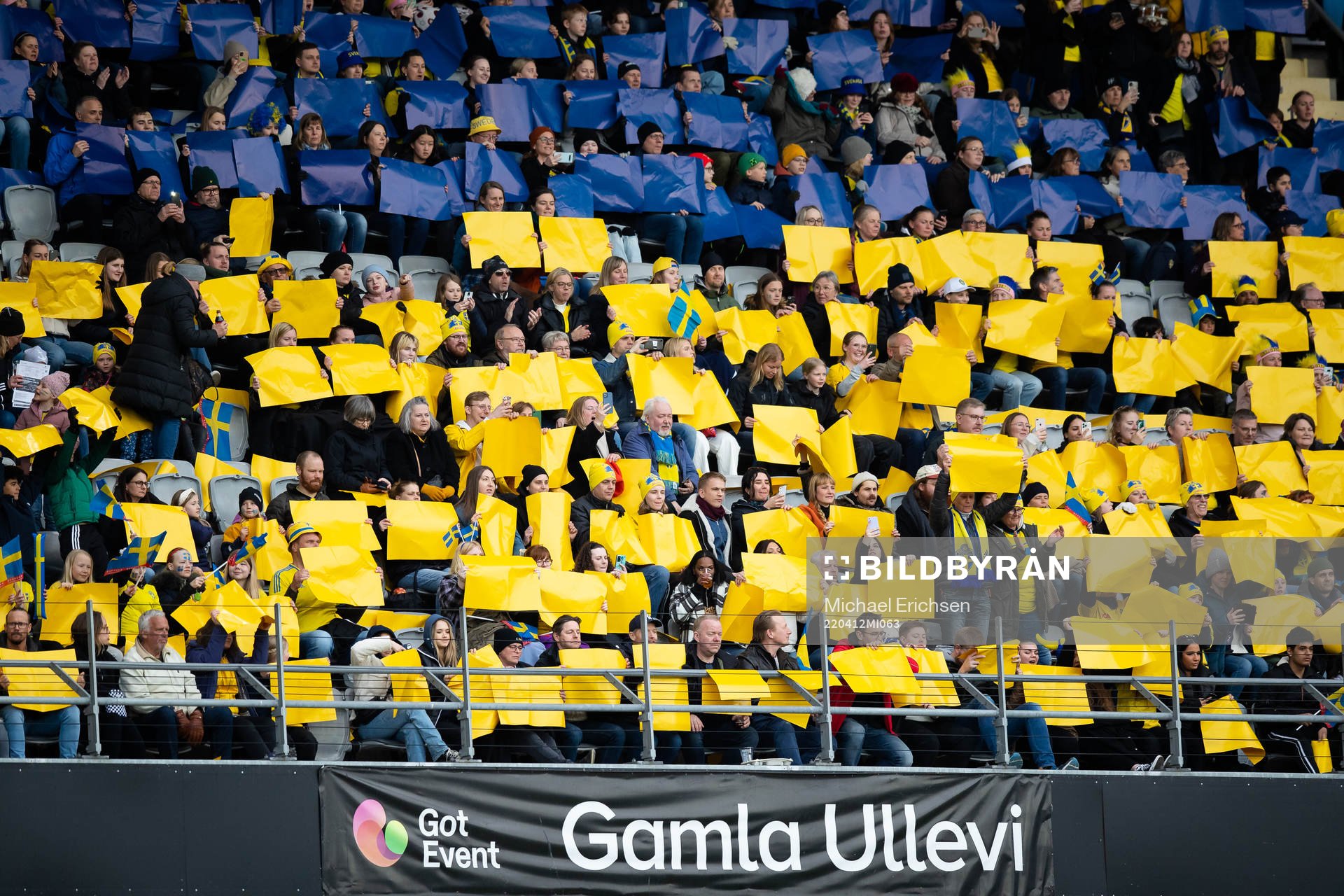 during the FIFA Women's World Cup Qualifier football match