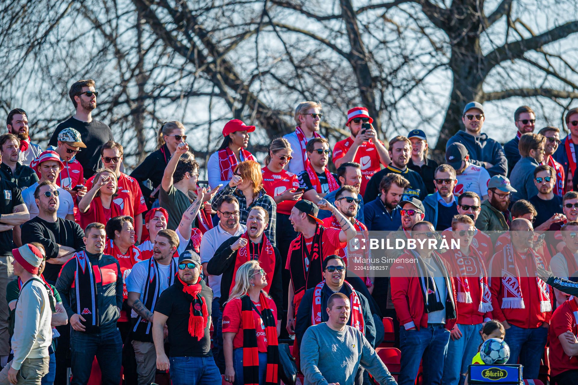 Spectators in the stands