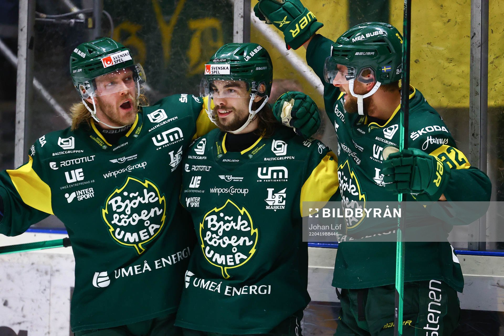 Björklövens spelare jublar