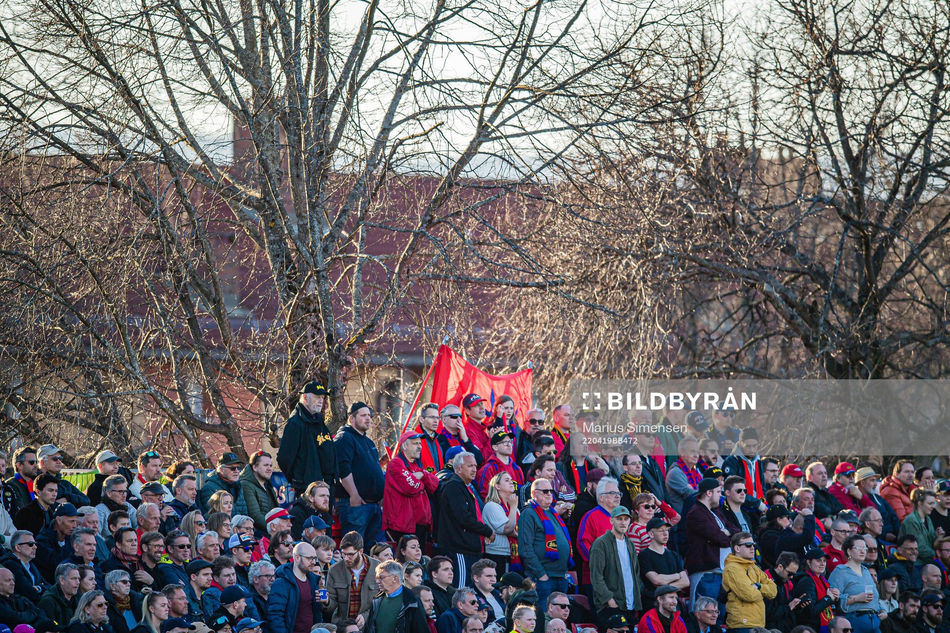 Spectators in the stands