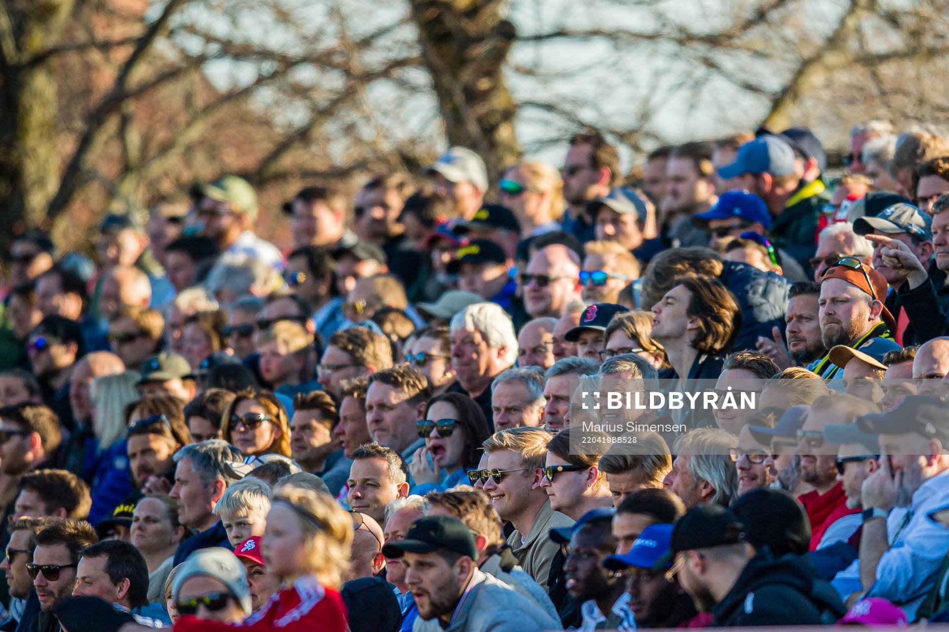 Spectators in the stands