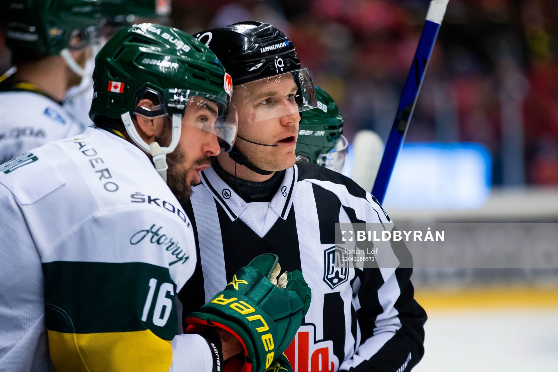 Domare Christian Billing pratar med Björklövens Félix