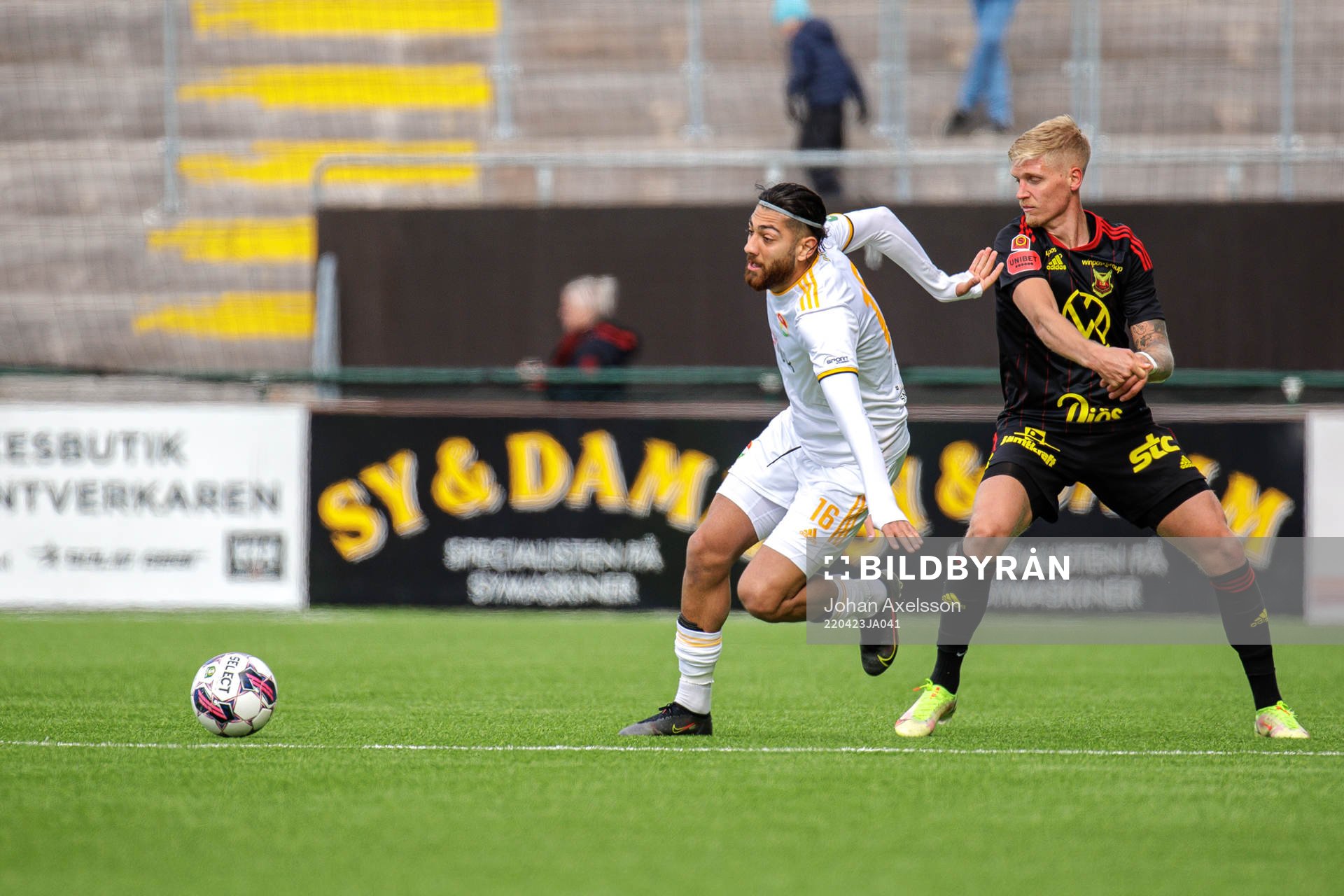 Dalkurds Rassa Rahmani