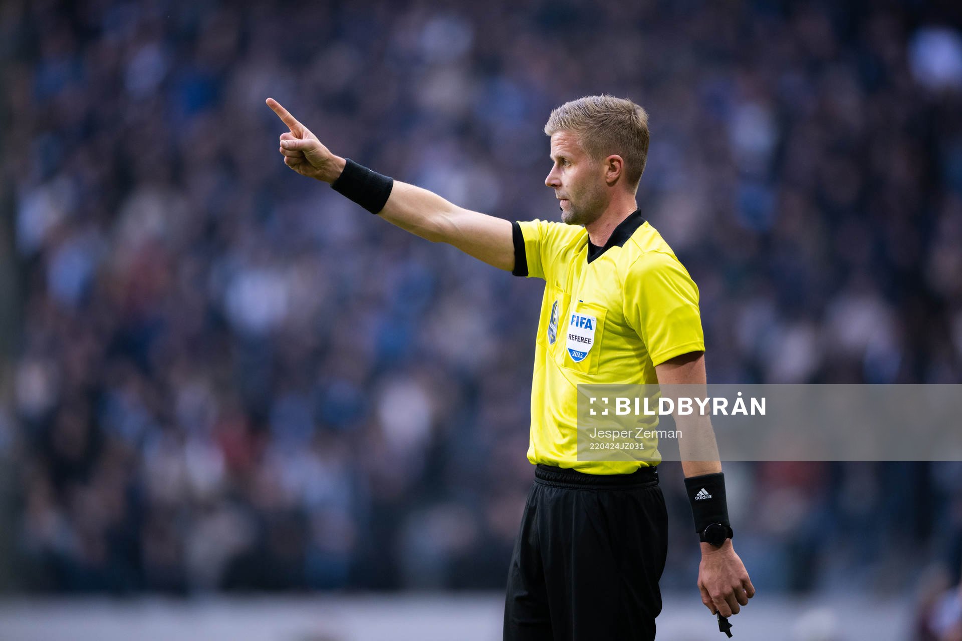 Domare Glenn Nyberg