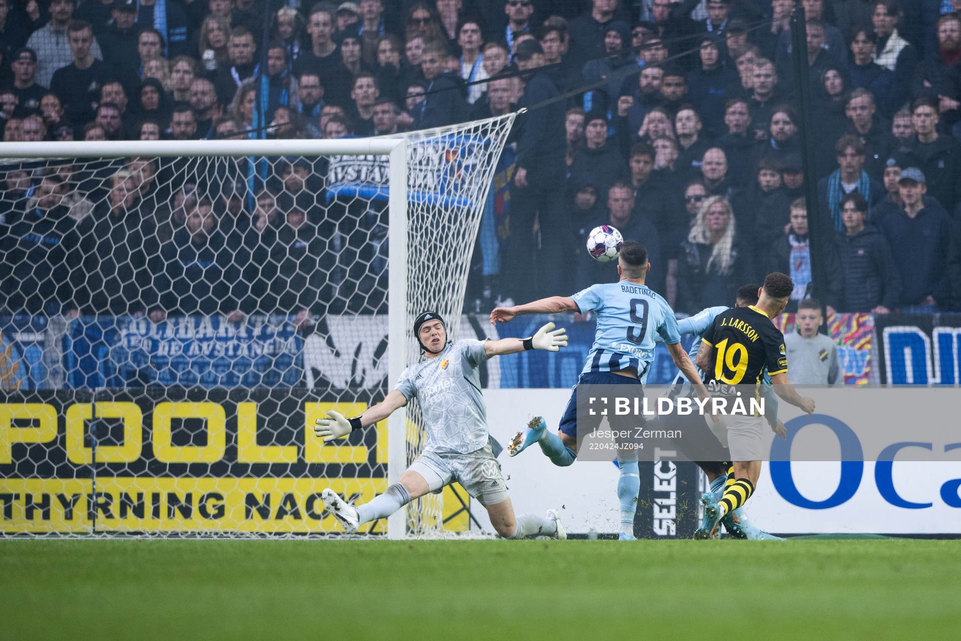 Djurgårdens målvakt Jacob Widell Zetterström, Haris