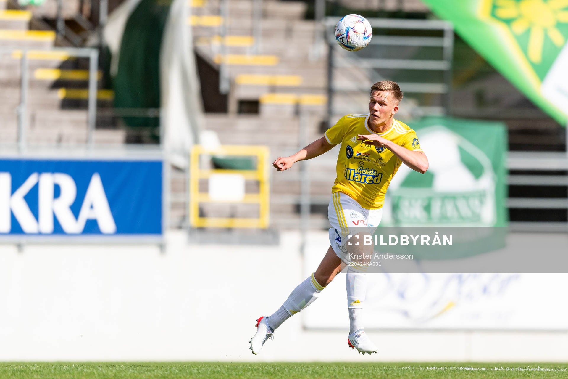 Falkenbergs Tim Stålheden