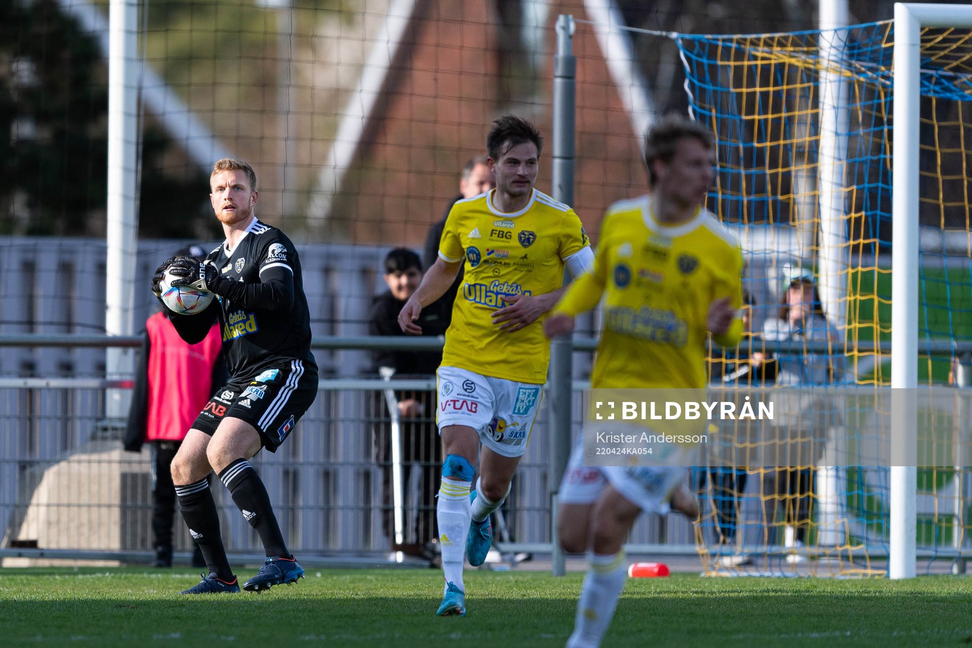 Falkenbergs målvakt Tim Erlandsson