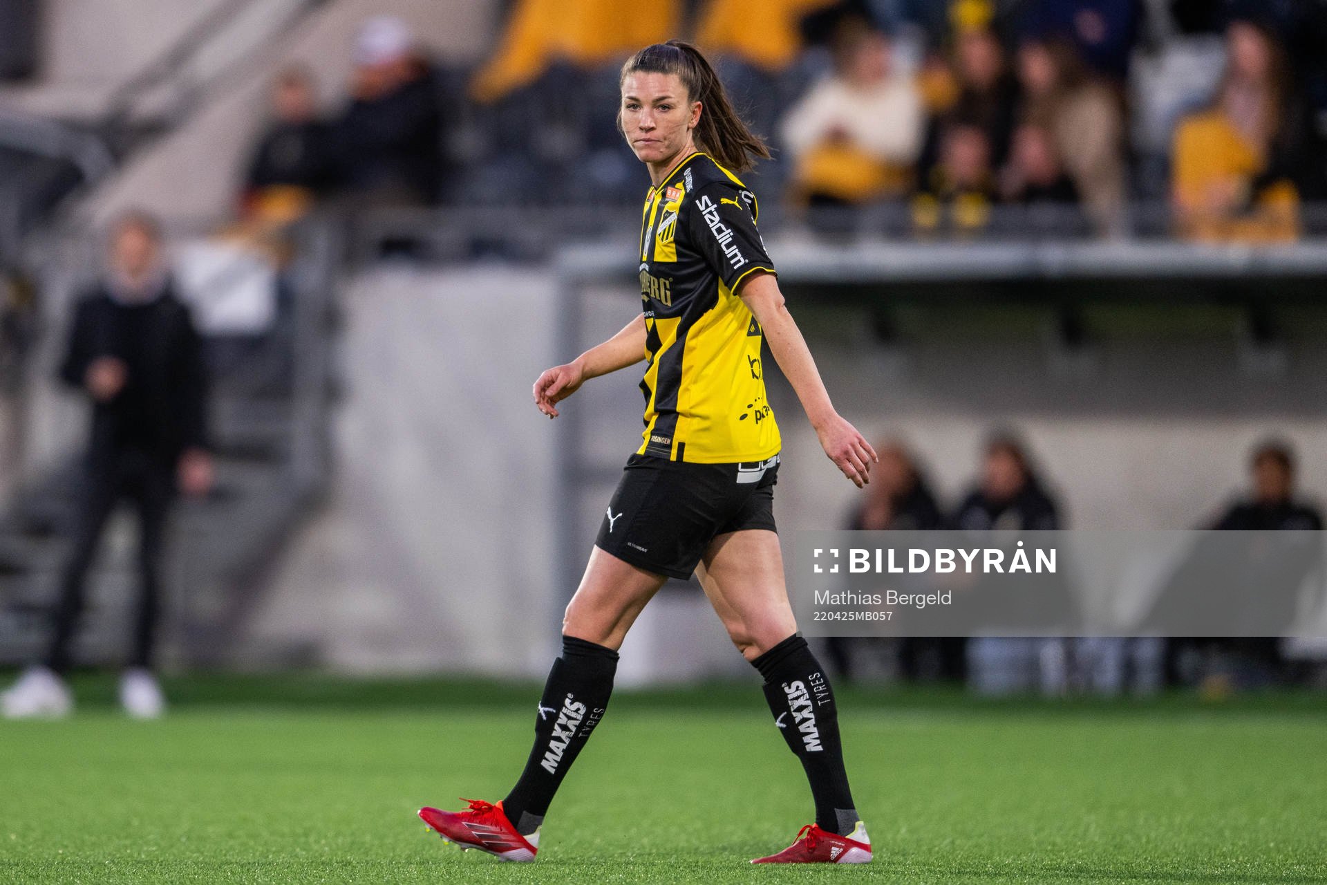 Häckens Pauline Hammarlund