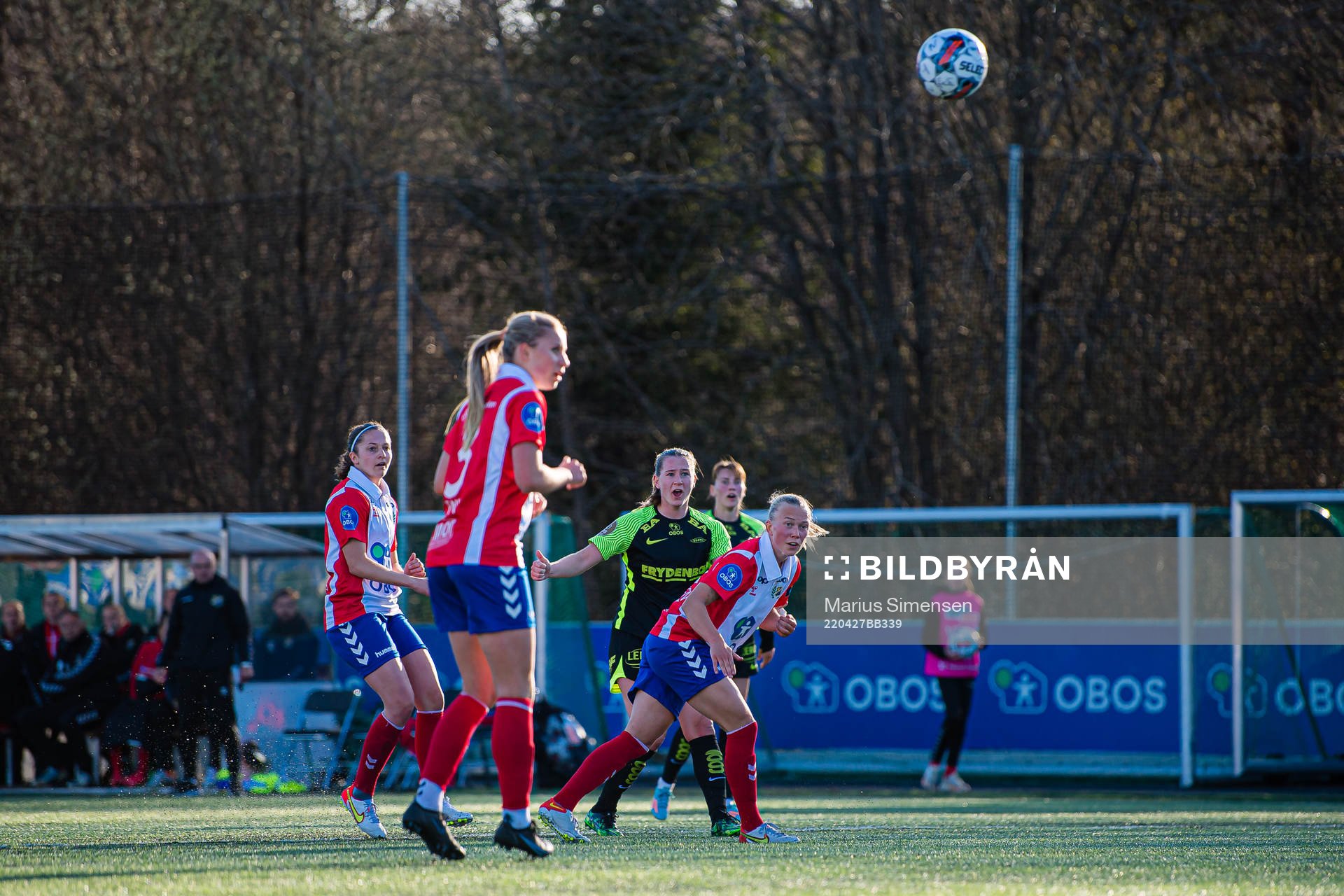 Elisabeth Terland of Brann
