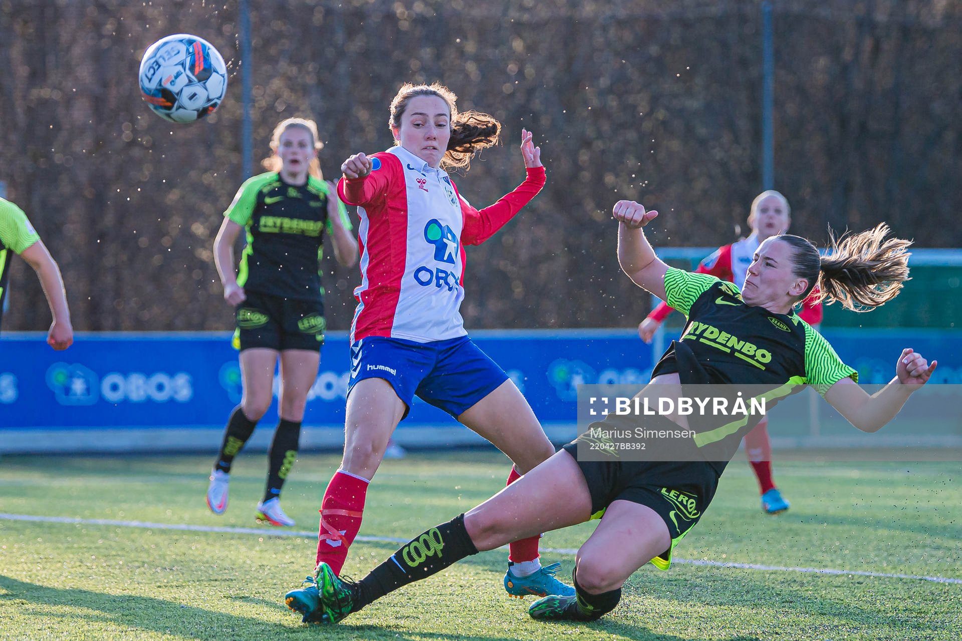 Elisabeth Terland of Brann