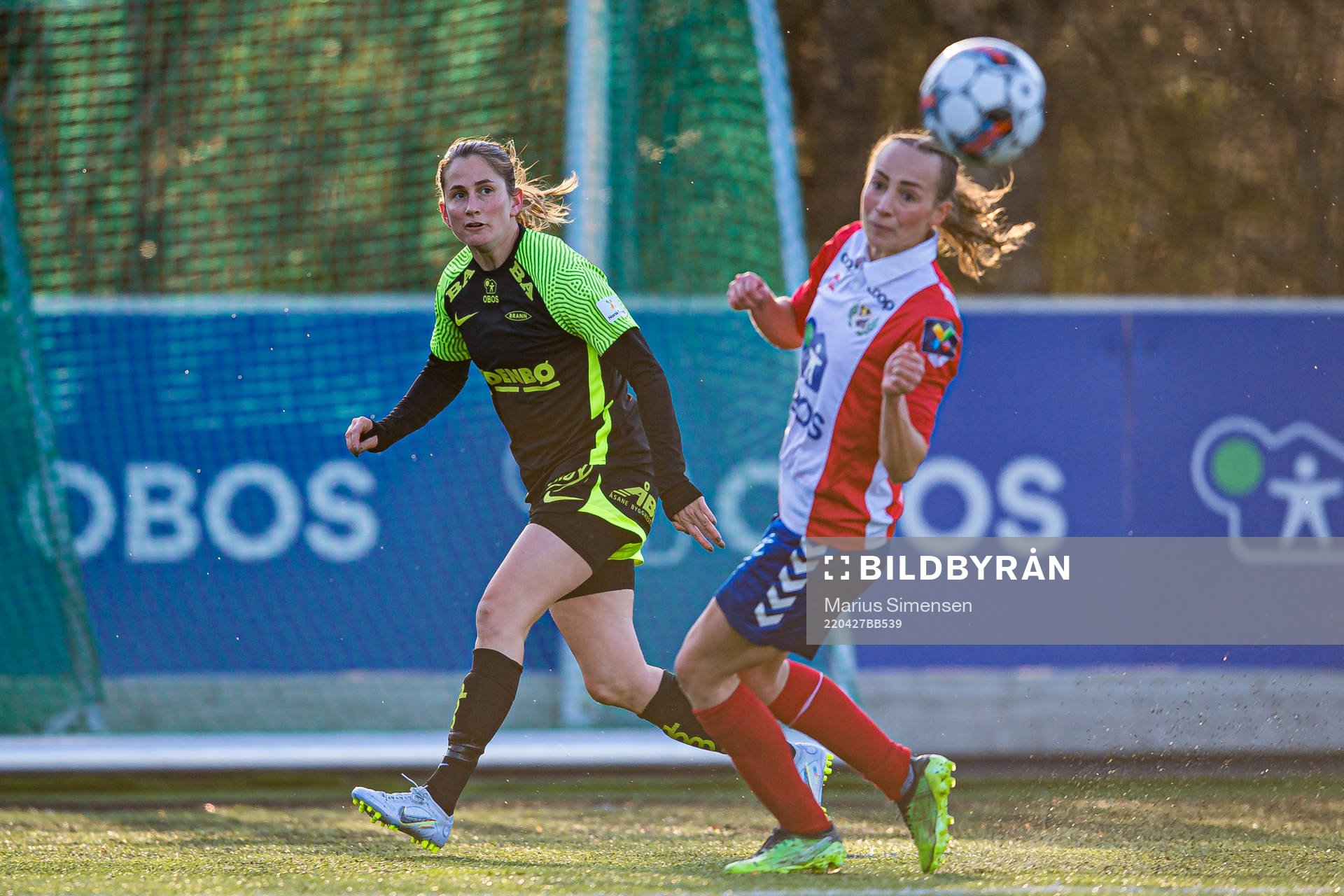 Ingrid Ryland of Brann
