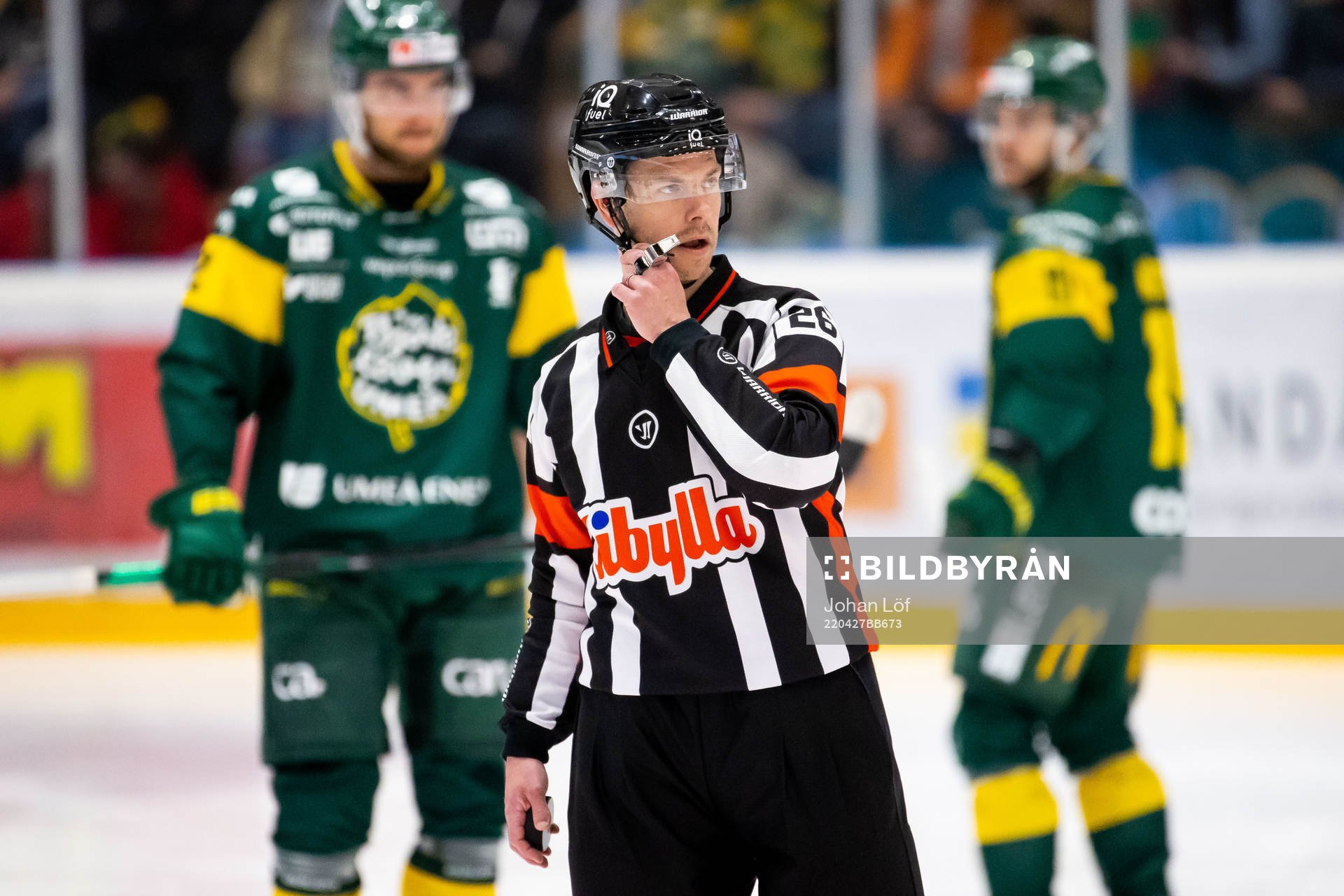Domare André Hiljanen