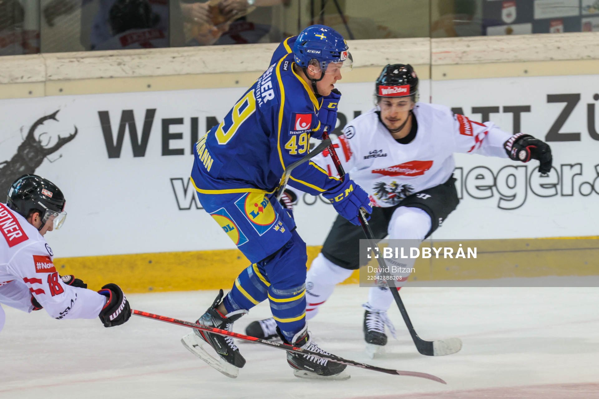 Sebastian Hartmann of Sweden and Dominic Hackl of Austria