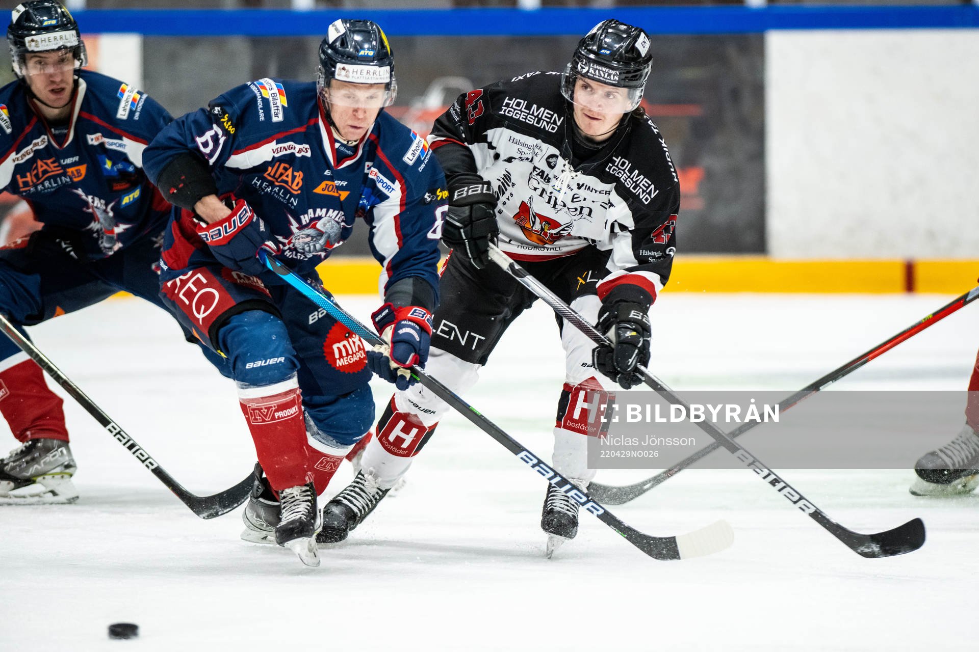Halmstads Hugo Johansson och Hudiksvalls William Eckmyhl