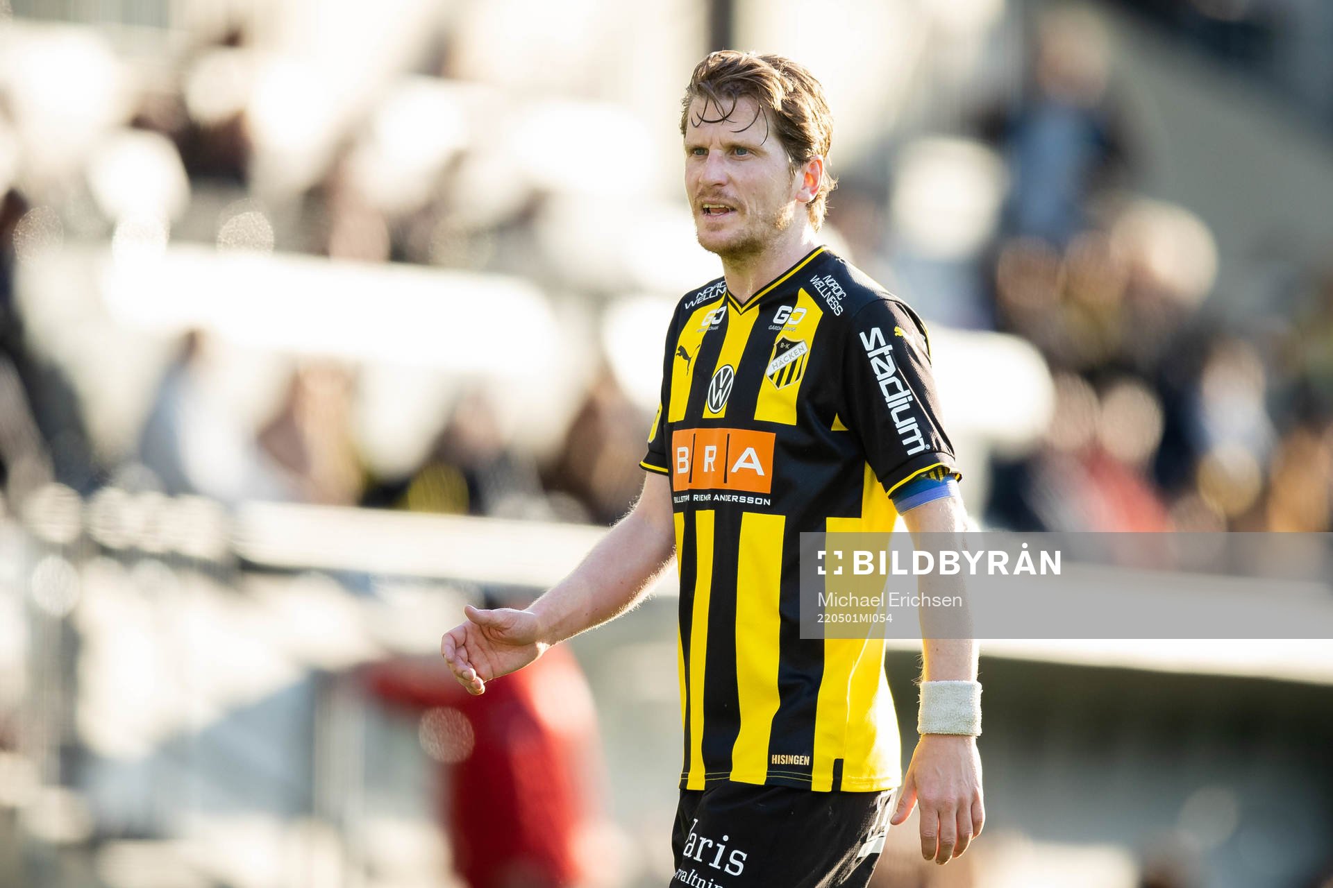Häckens Erik Friberg