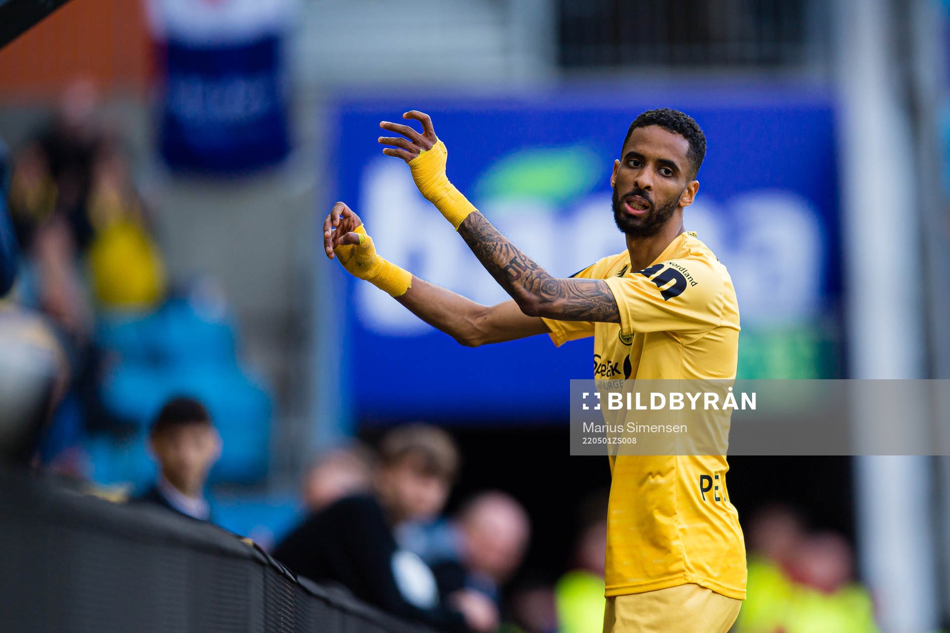 Amahl William D'Vaz Pellegrino of Bodø/Glimt reacts