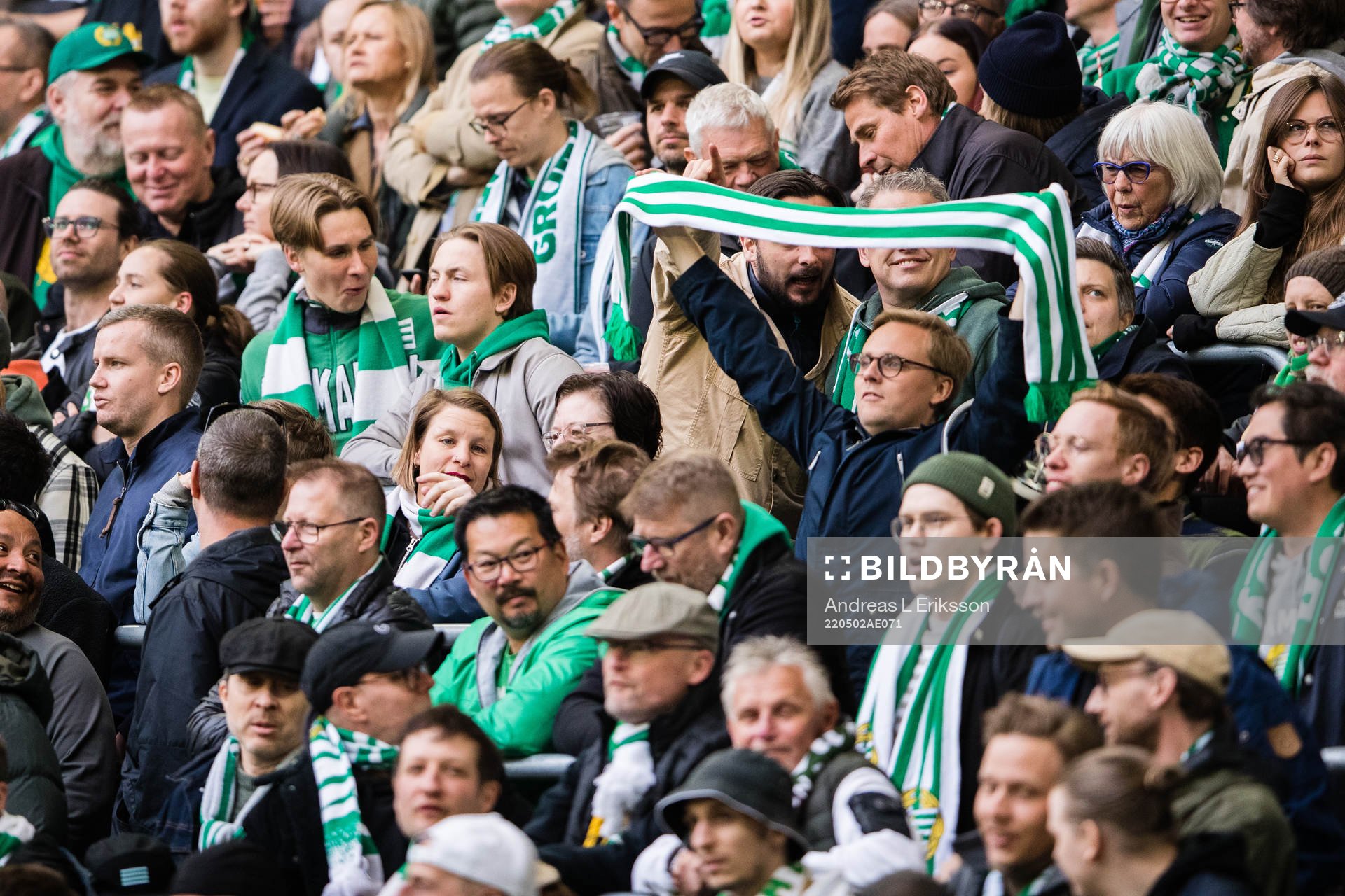 Supportrar till Hammarby