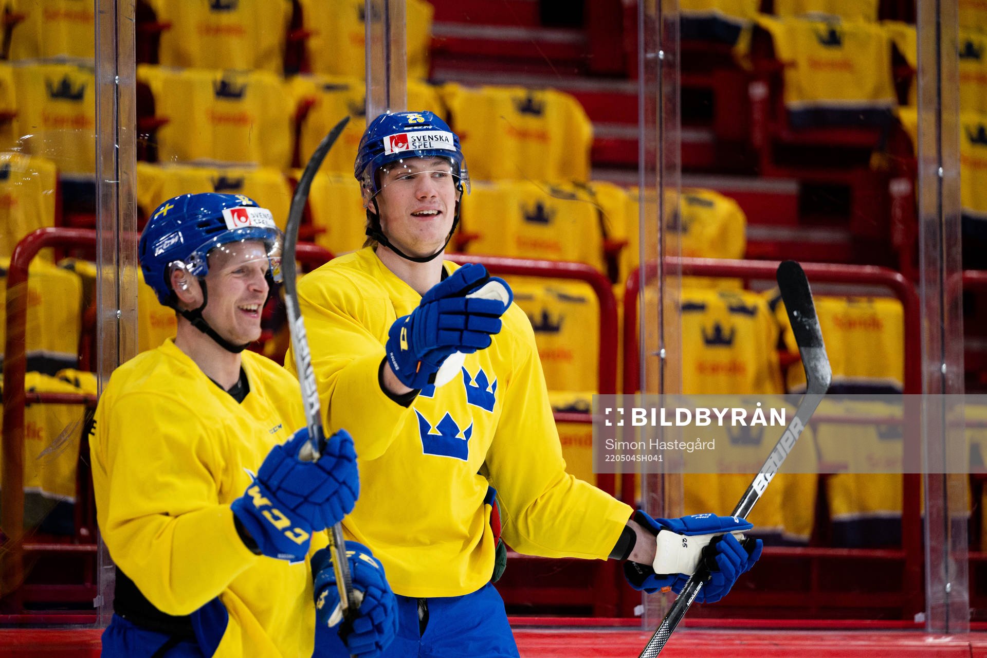 Max Friberg and Elmer Söderblom of the Swedish national