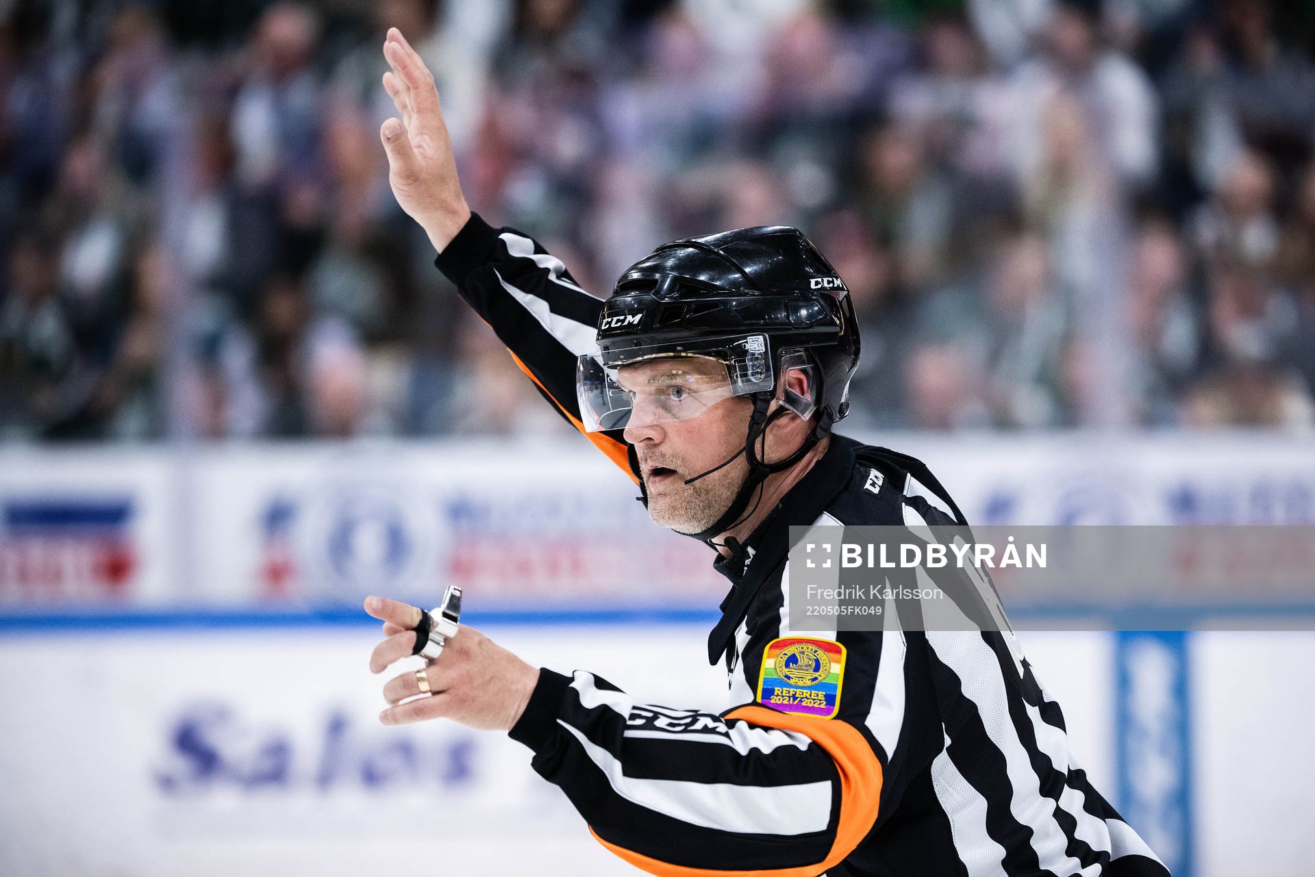 Domare Mikael Nord