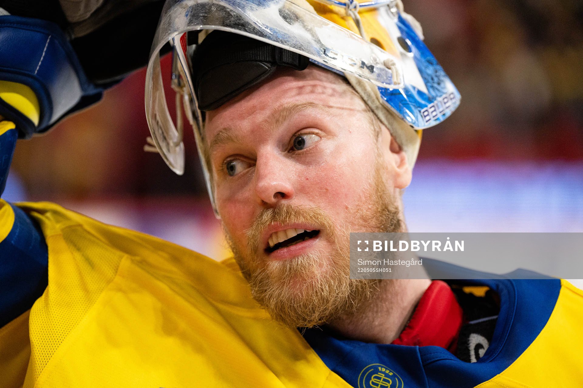 Goalkeeper Magnus Hellberg of Sweden