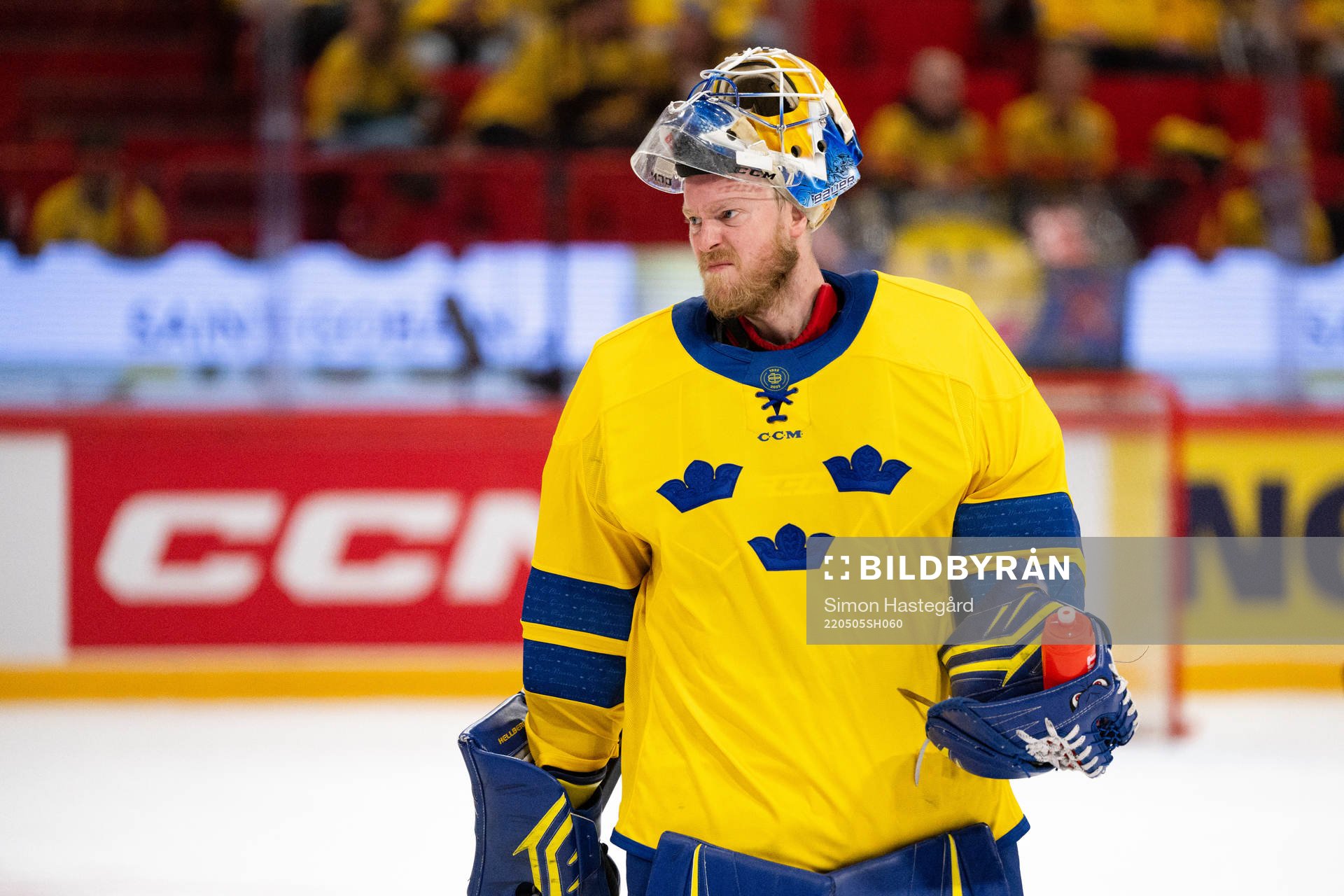 Goalkeeper Magnus Hellberg of Sweden  looks dejected