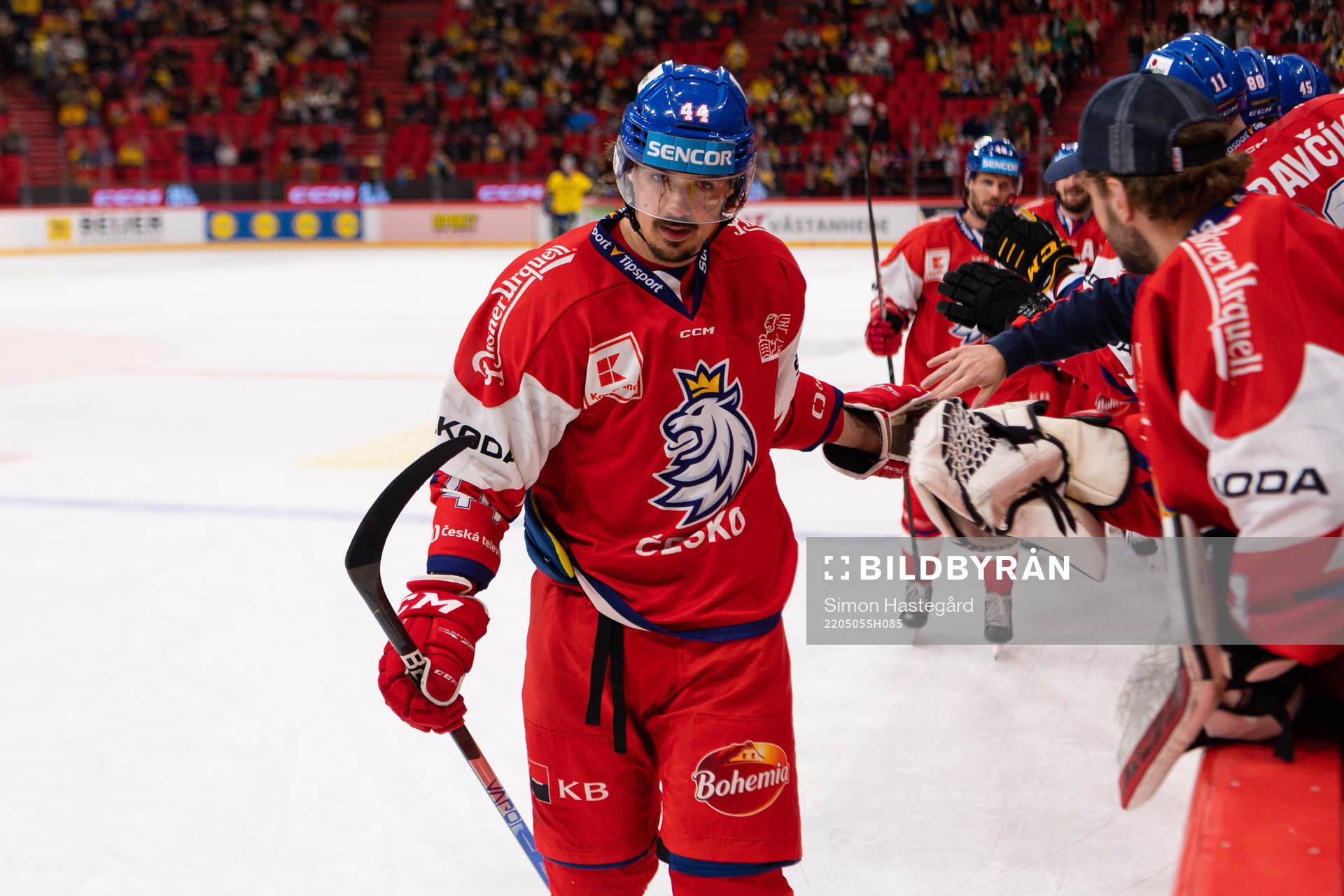 Matej Stransky of Czech Republic celebrates the 0-2 goal