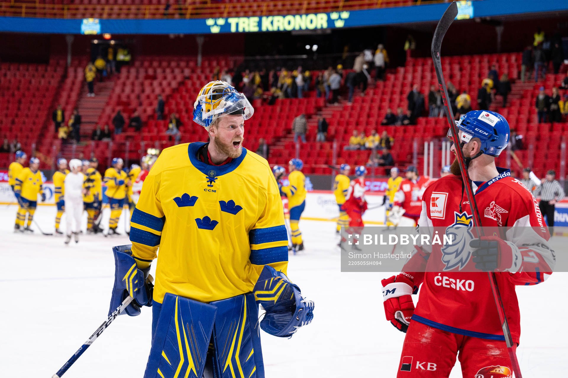 Goalkeeper Magnus Hellberg of Sweden
