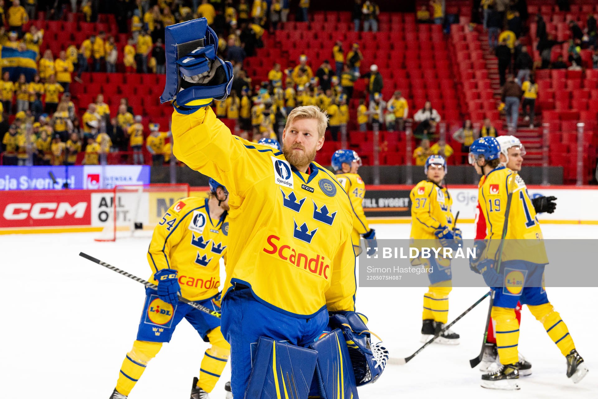 Goalkeeper Magnus Hellberg of Sweden celebrates
