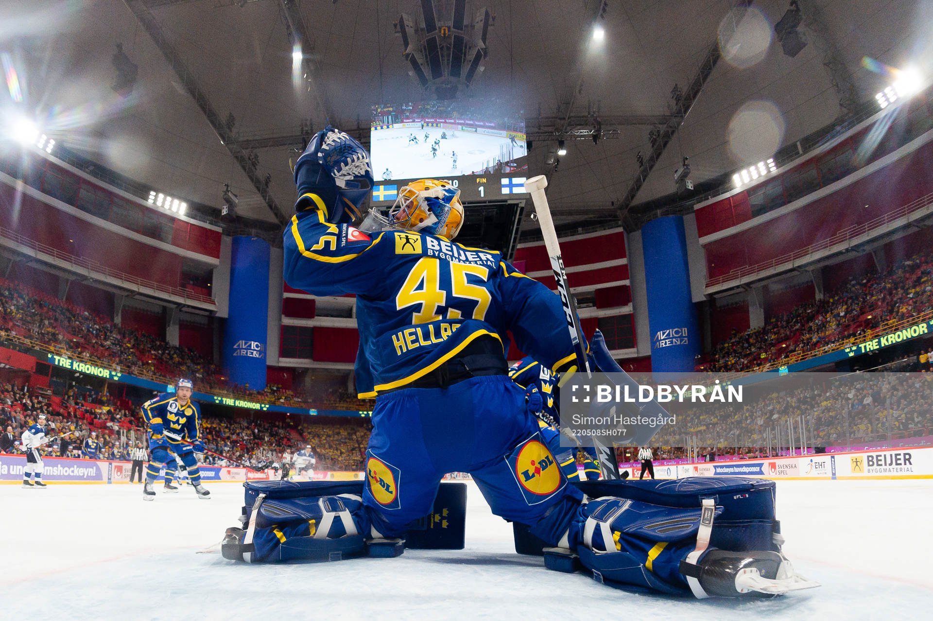Goalkeeper Magnus Hellberg of Sweden
