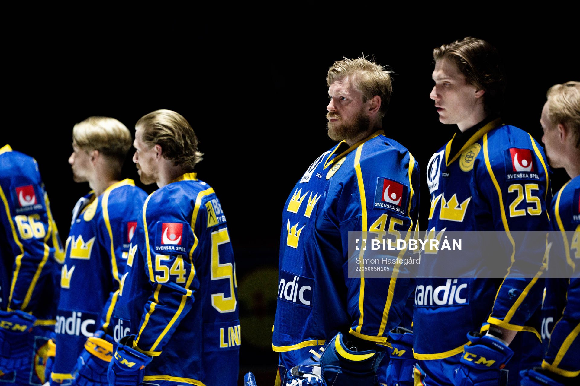 Goalkeeper Magnus Hellberg of Sweden
