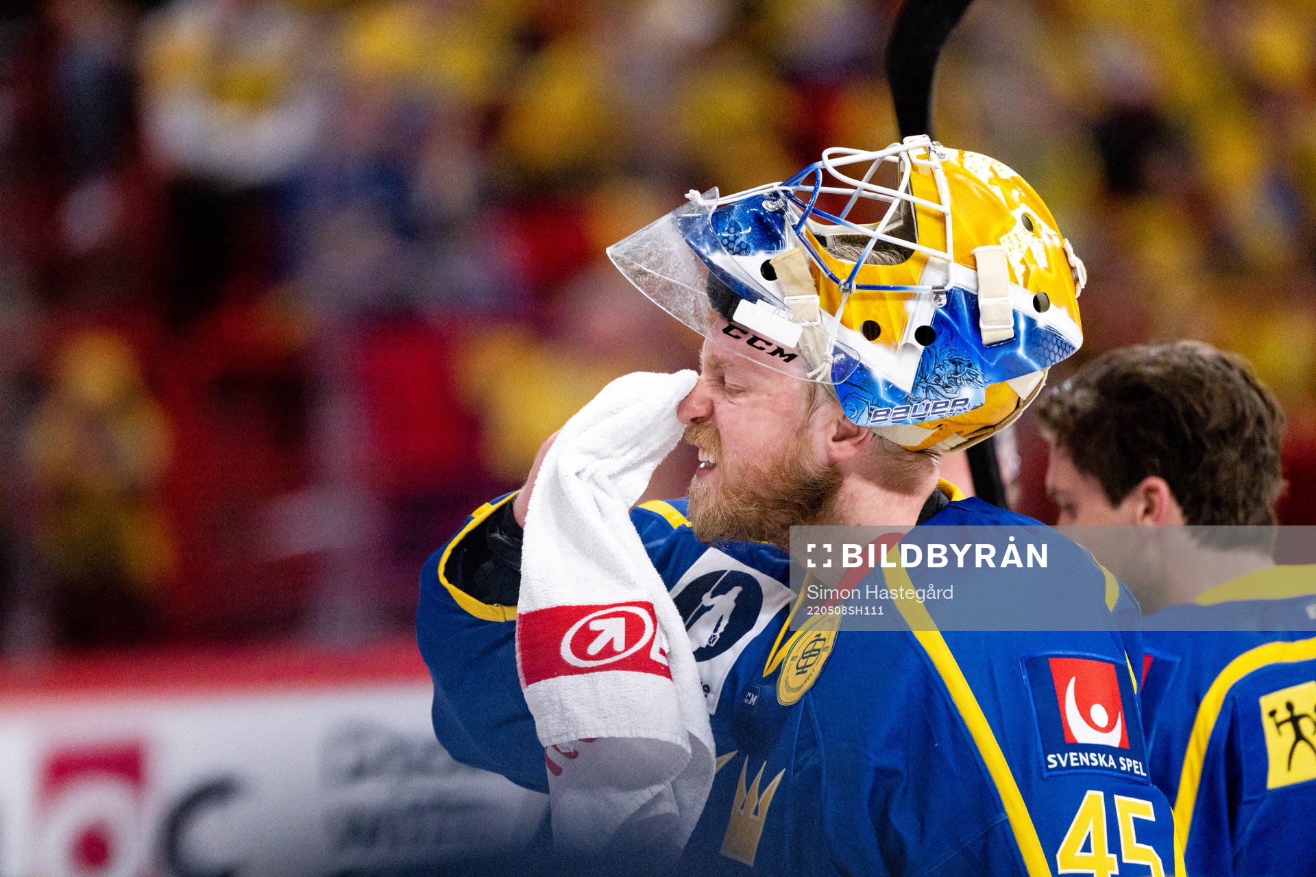 Goalkeeper Magnus Hellberg of Sweden looks dejected