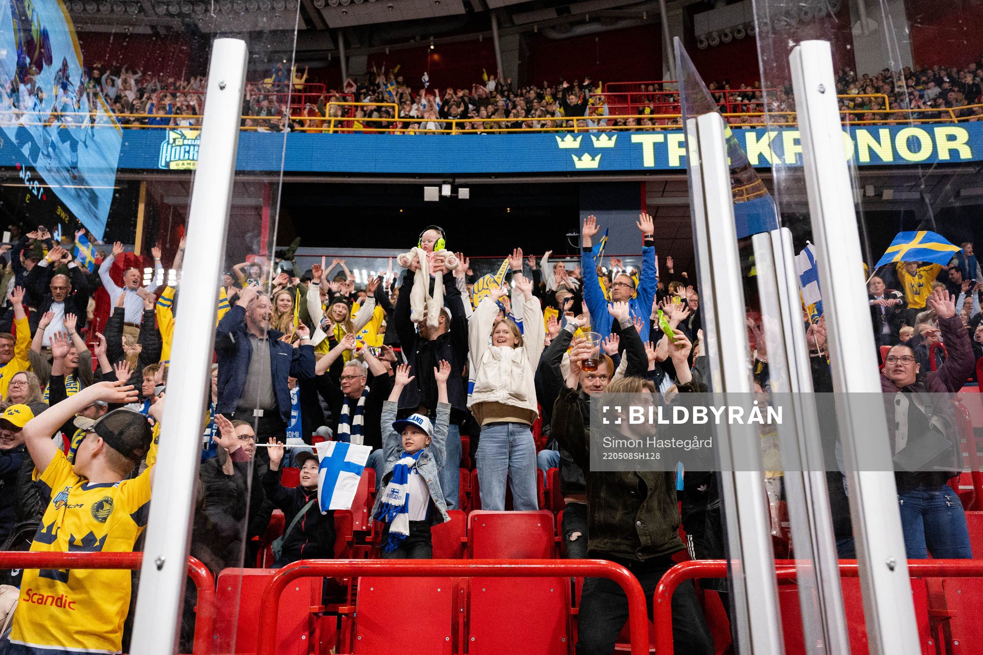 Fans of Sweden celebrates