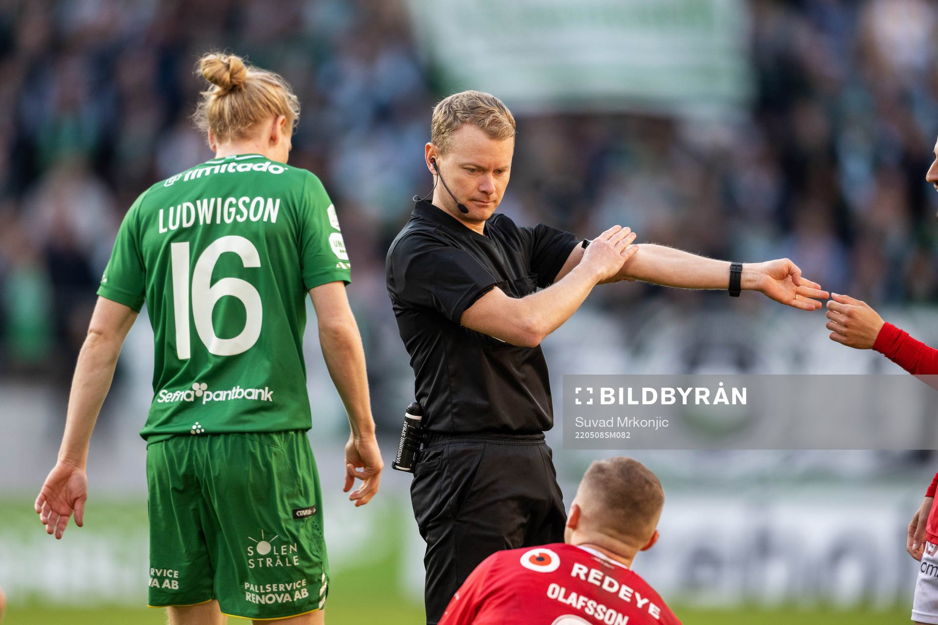 Domare Fredrik Klitte