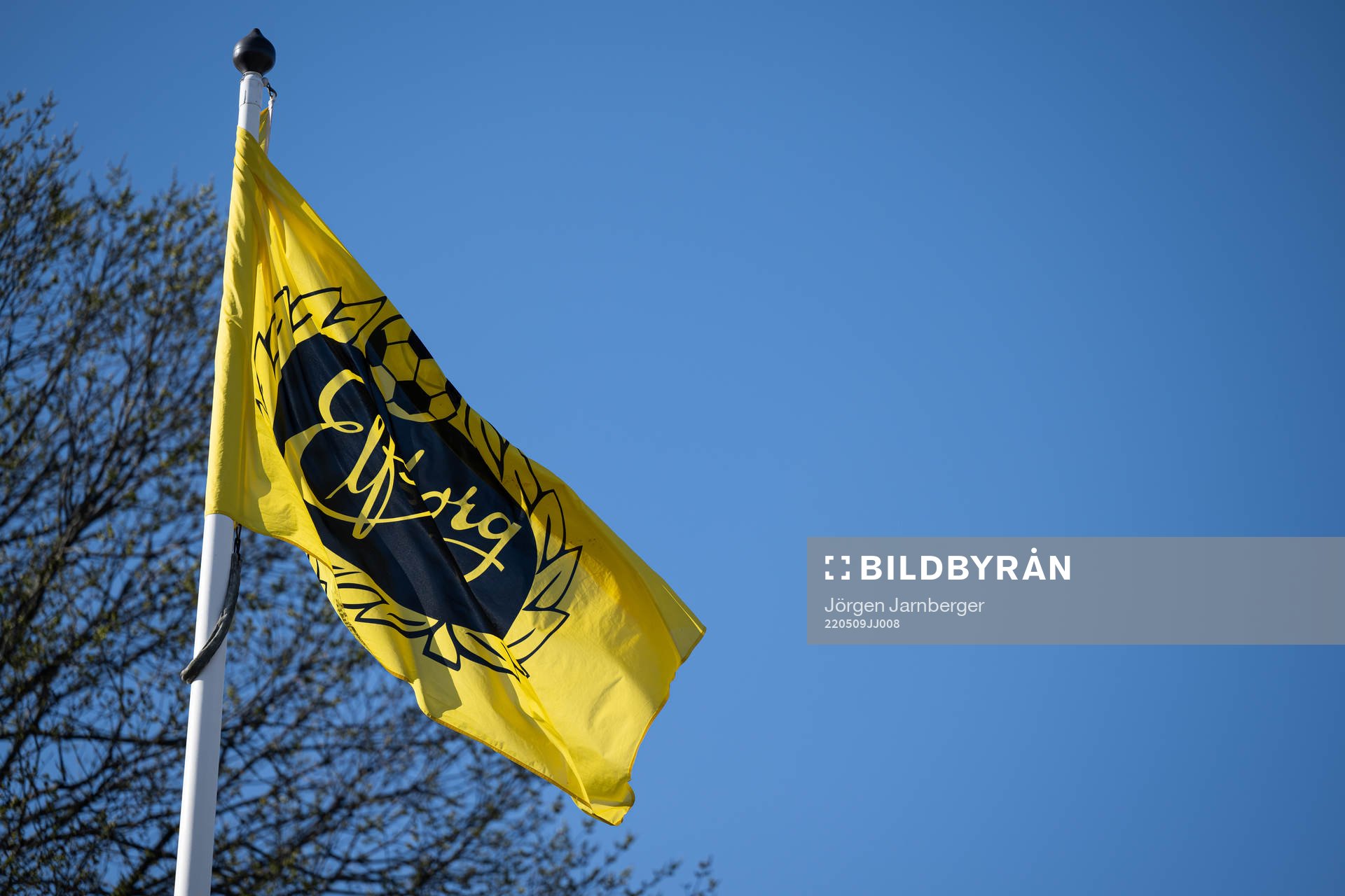 Elfsborgs flagga