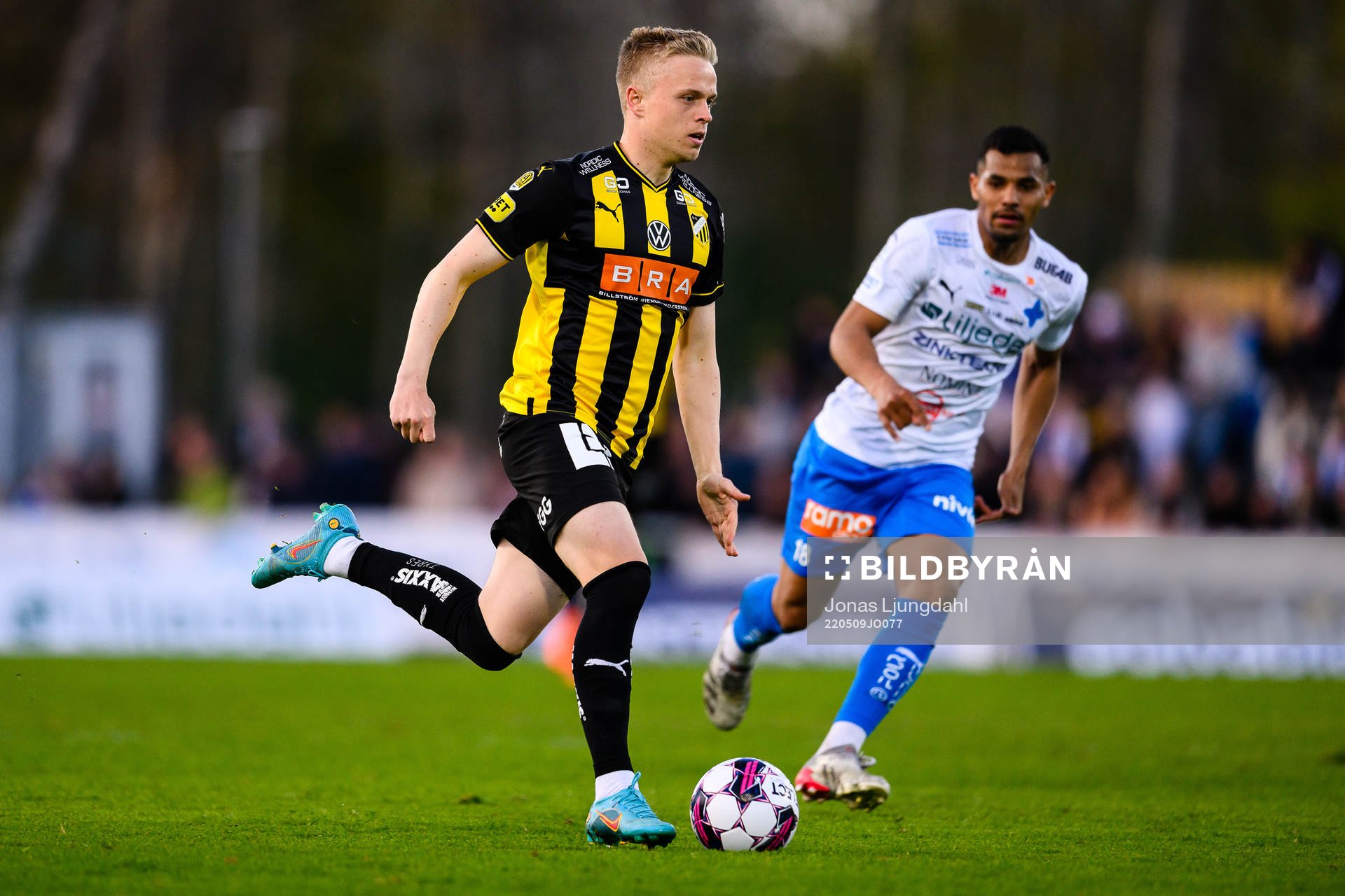 Häckens Tomas Totland