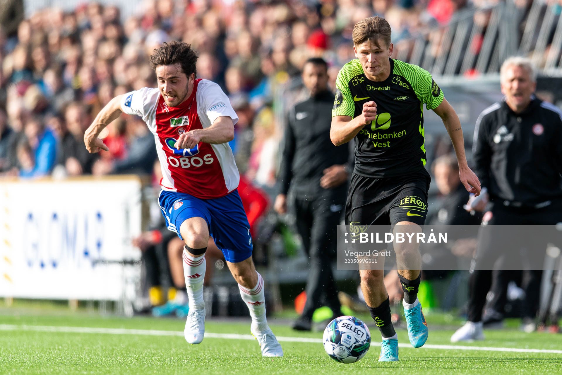 David Møller Wolfe of Brann