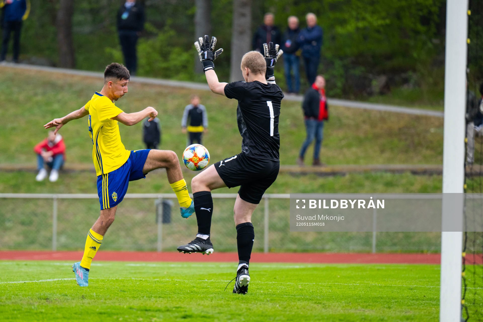 Sveriges Alexandru Ghita och Islands målvakt Ivar Arnbro