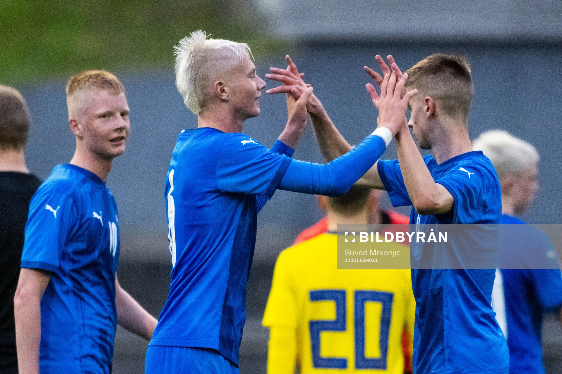 Islands spelare jublar