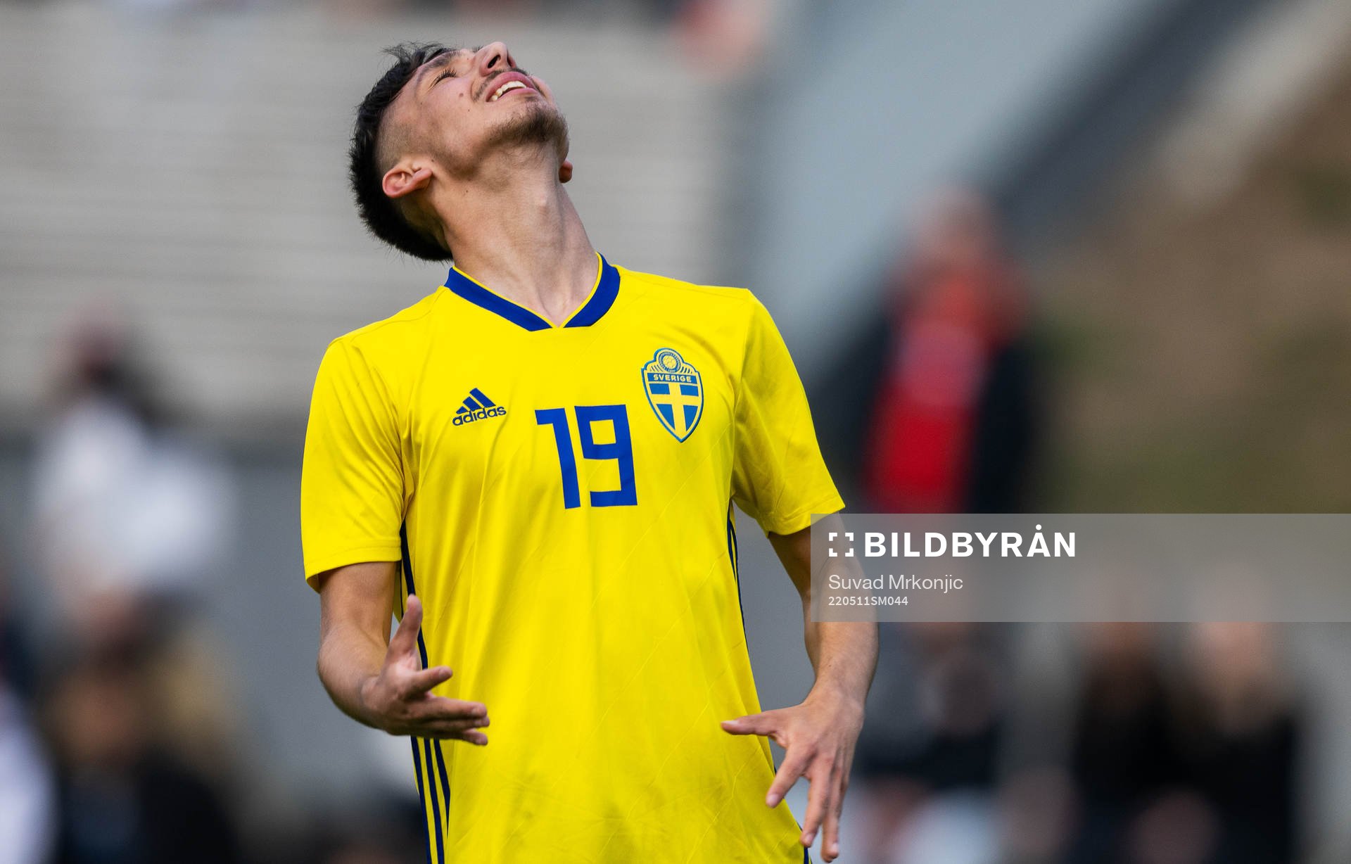 Sveriges Alexandru Ghita deppar