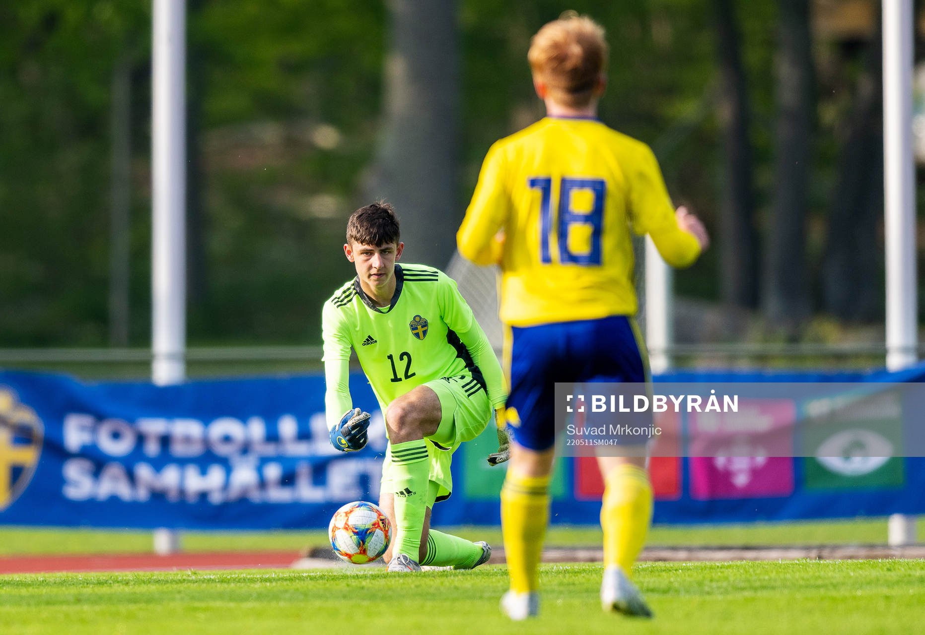 Sveriges målvakt Liam Selin