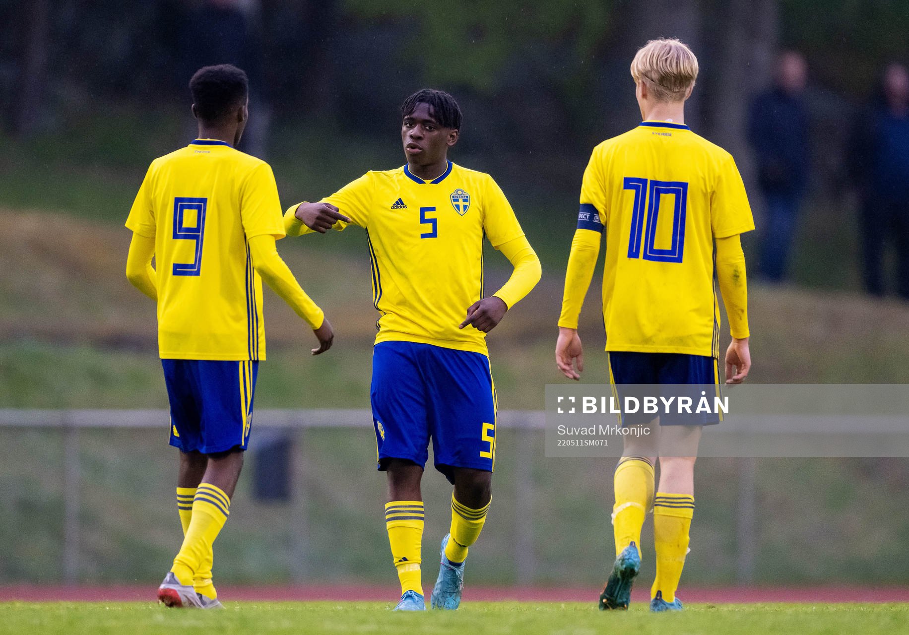 Sveriges William Rashidi