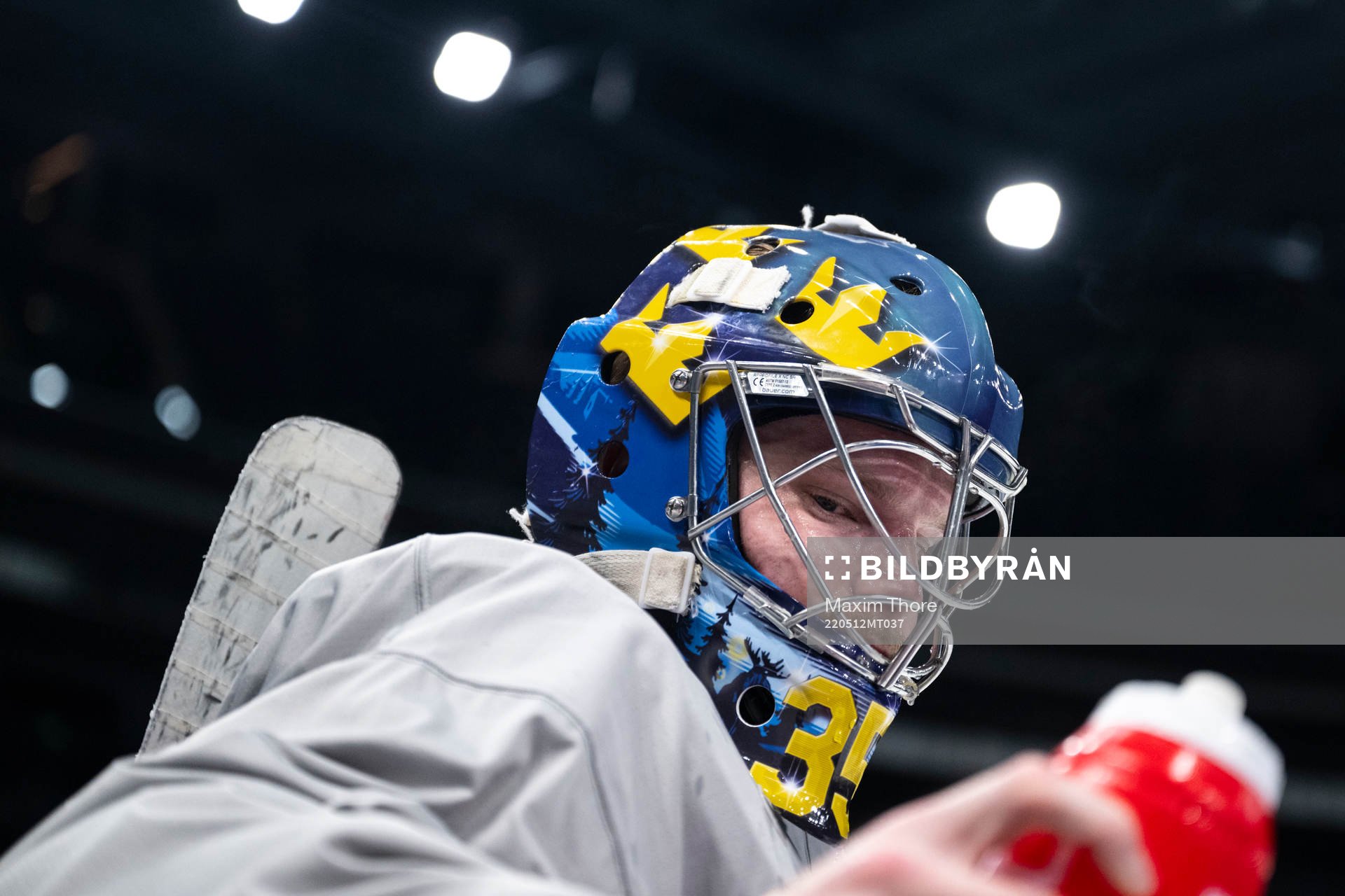 Goaltender Oscar Dansk